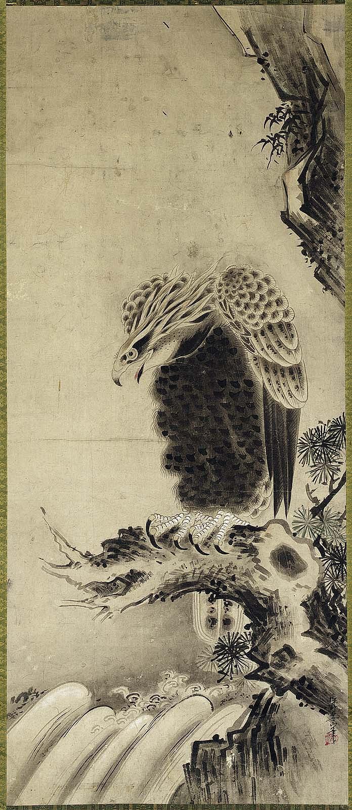 Eagle Perched on a Pine Branch