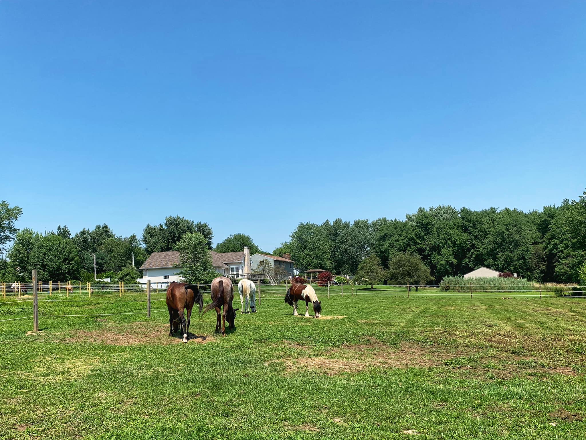 Four Winds Farm - Four Winds Farm added a new photo.
