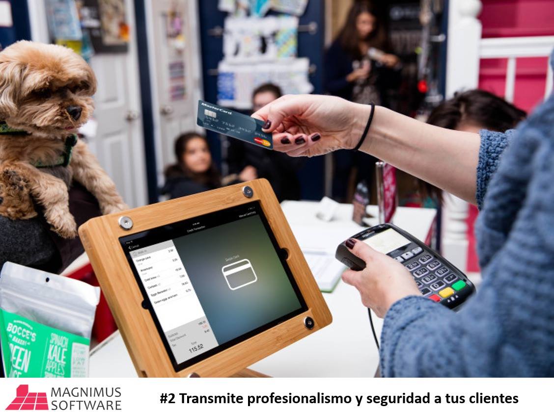 Magnimus Software | Durango
