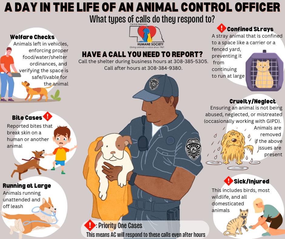 Animal Control Image