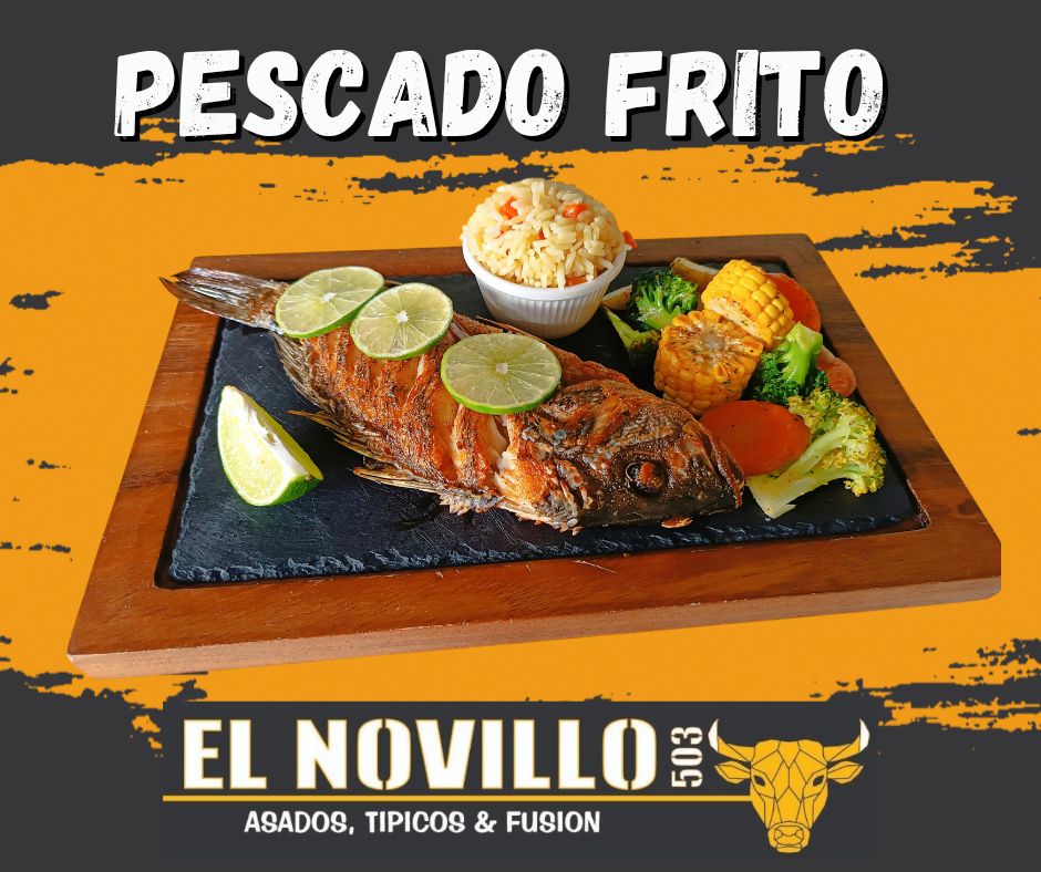 El Novillo 503 | La Paz