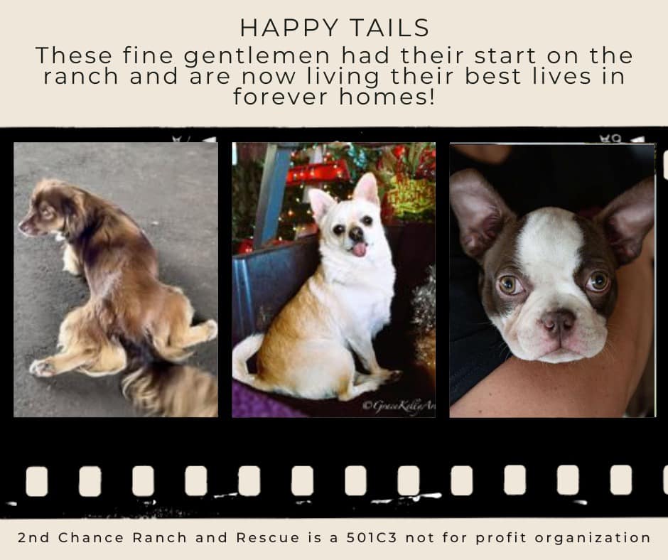2nd Chance Ranch and Rescue Inc