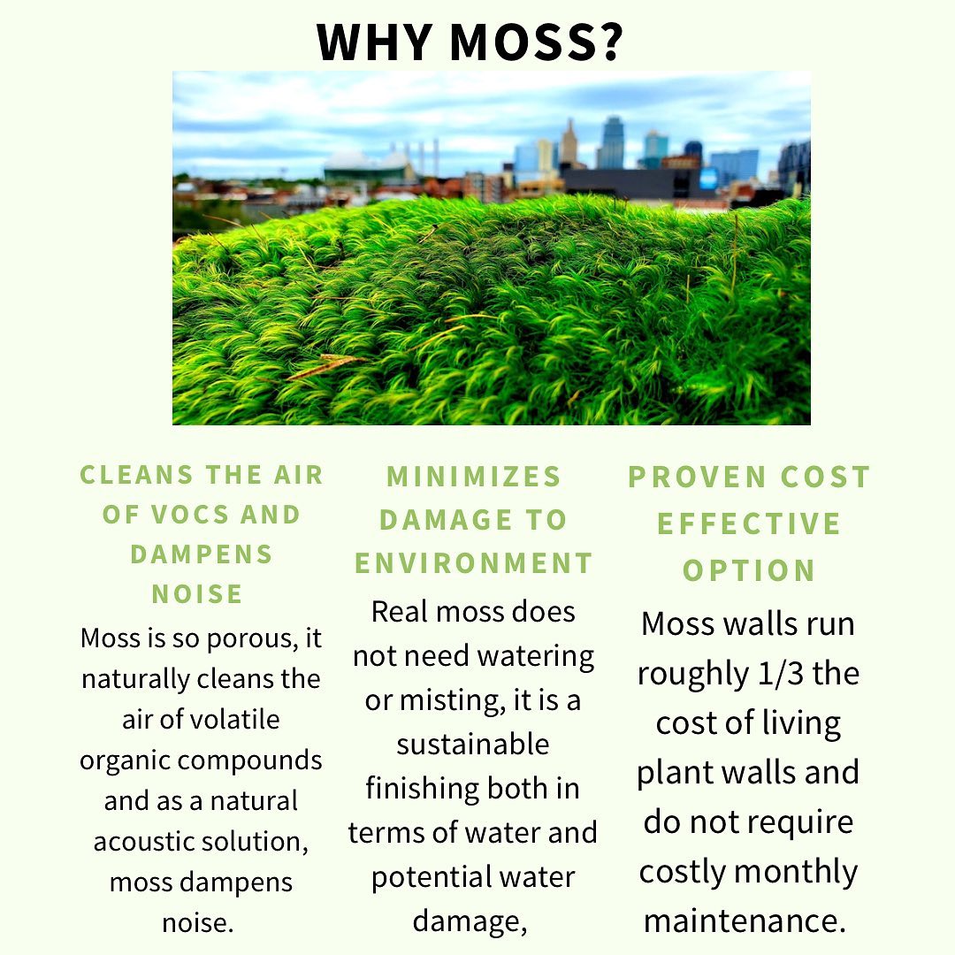 Just three of the many reasons... - The Fat Plant Society | Facebook