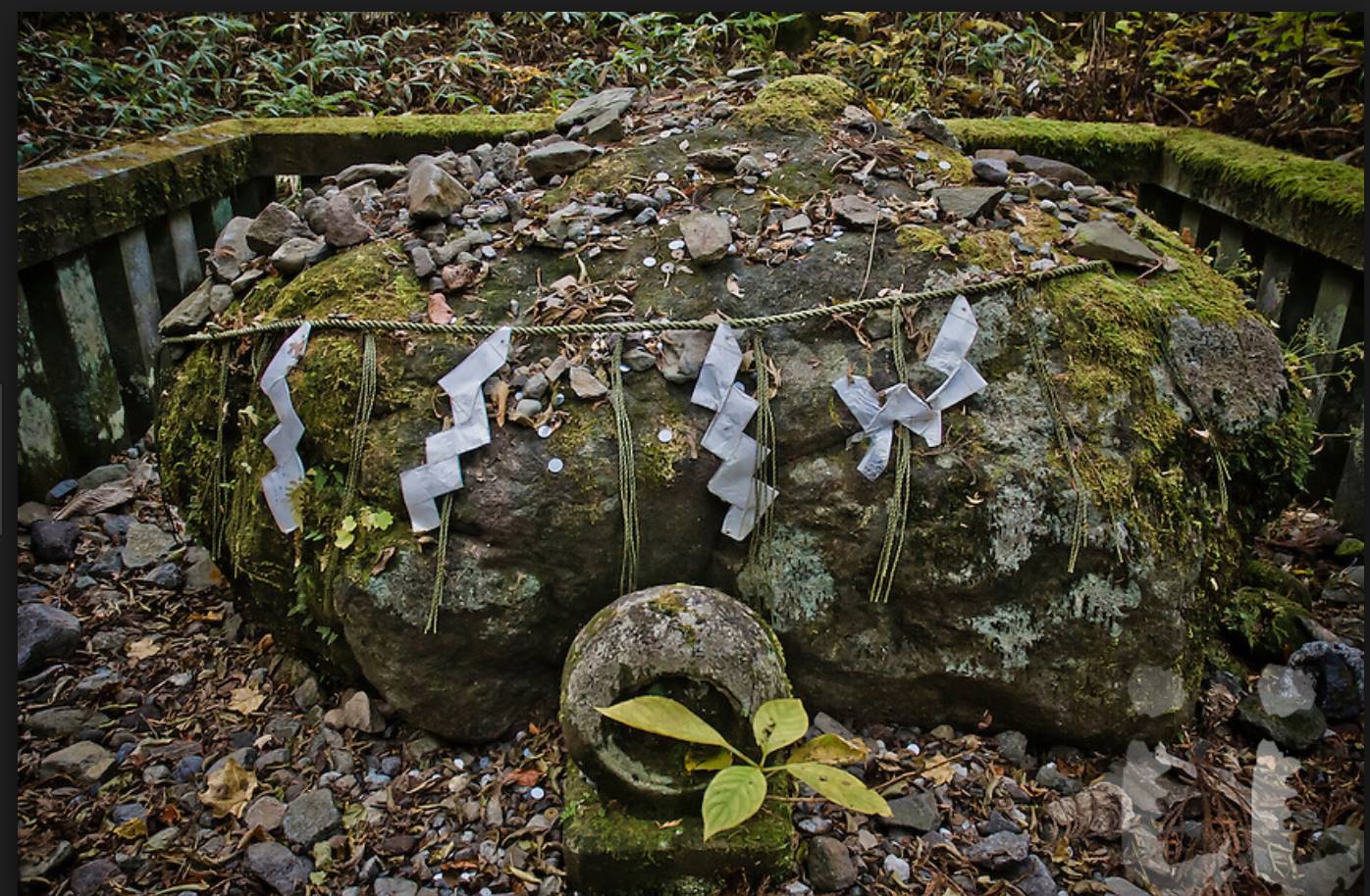 Have frequently found this useful: THE ROCKS BEGIN TO SPEAK, by