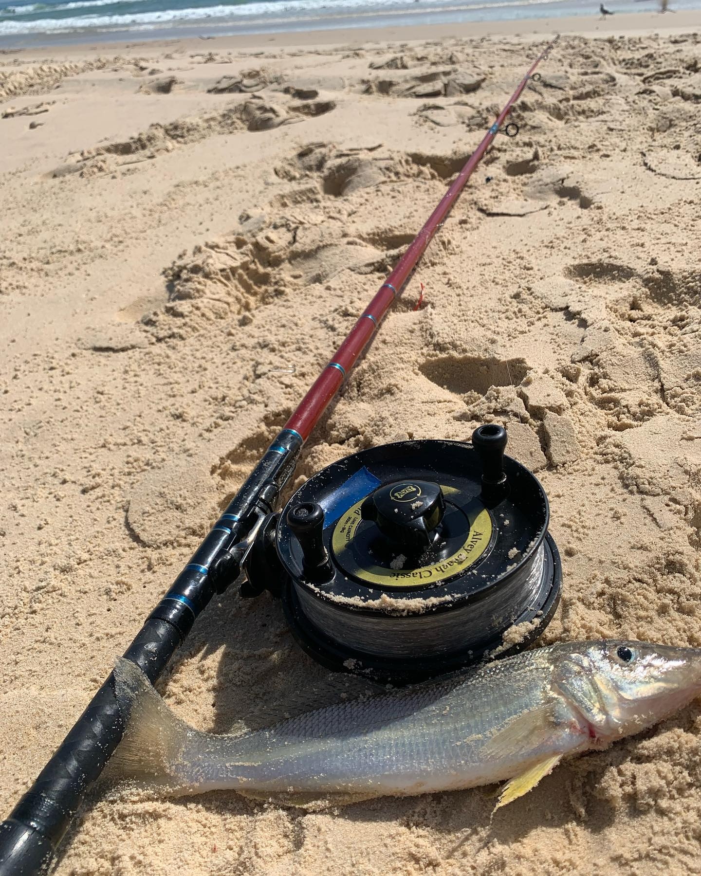 dropped fishing reel in saltwater Heavy Trolling/ Deep Drop Rod – Florida Sport Gear Deep Sea Fishing Tackle Reels