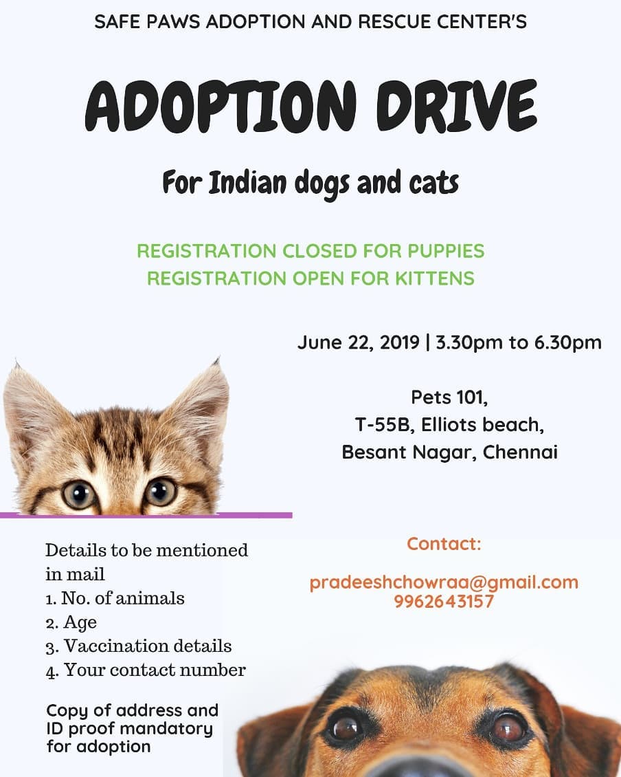 Safe Paws Rescue and Adoption Center