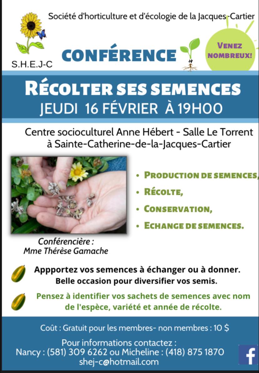 Meteomedia Sainte Catherine De La Jacques Cartier