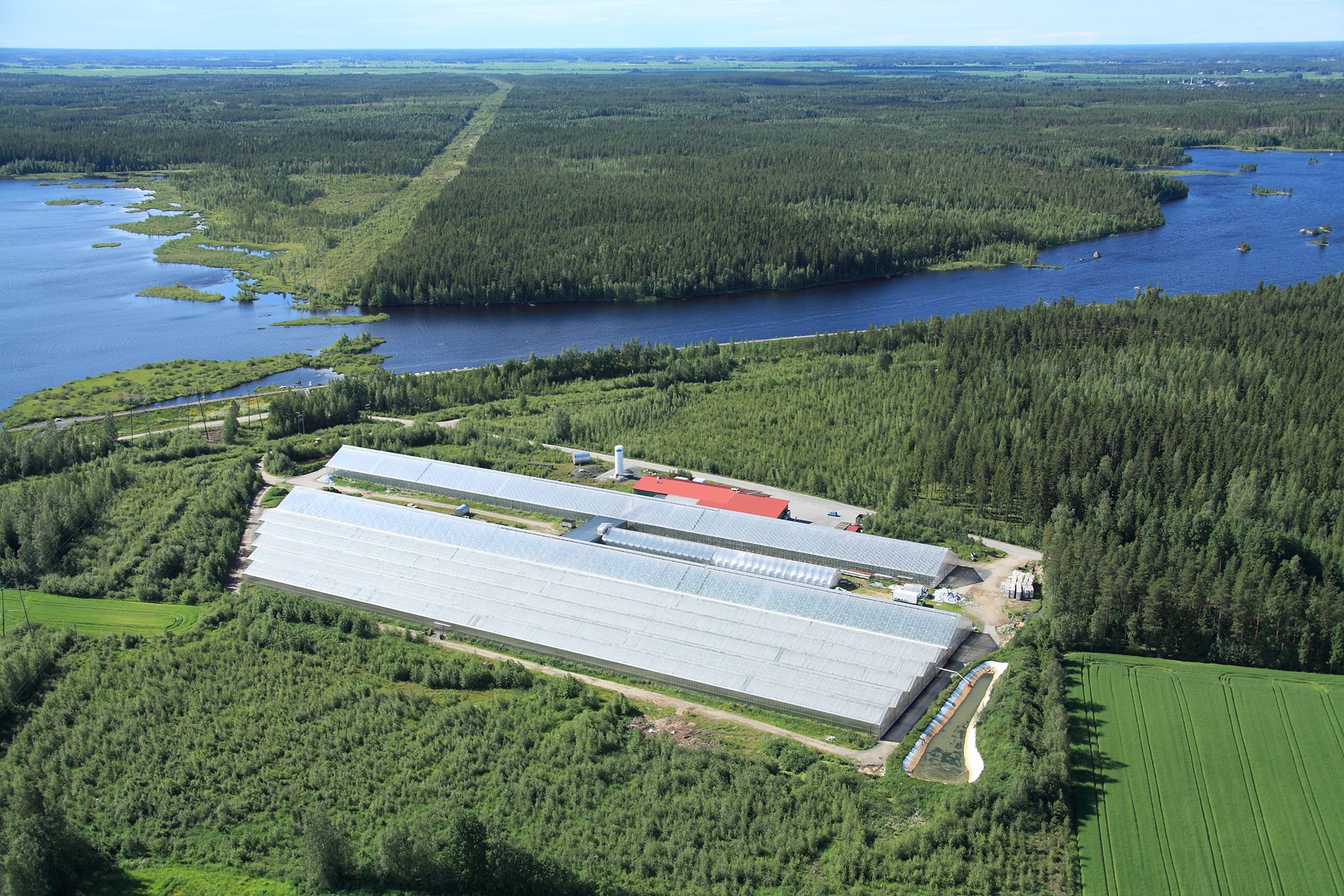 Seinäjoen Puutarha Oy Sepu | Seinäjoki