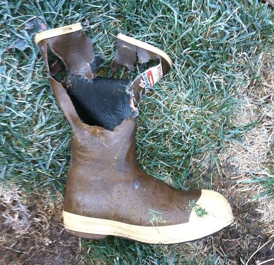 TAARB Trashed And Abused Rubber Boots , Aigle, LeChameau, Hunters ...