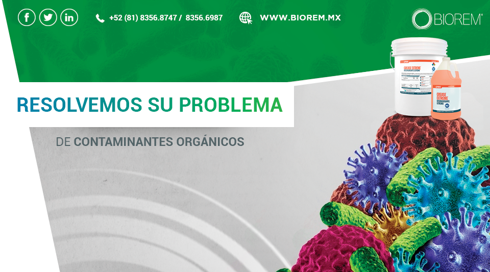BioRem | Santa Catarina