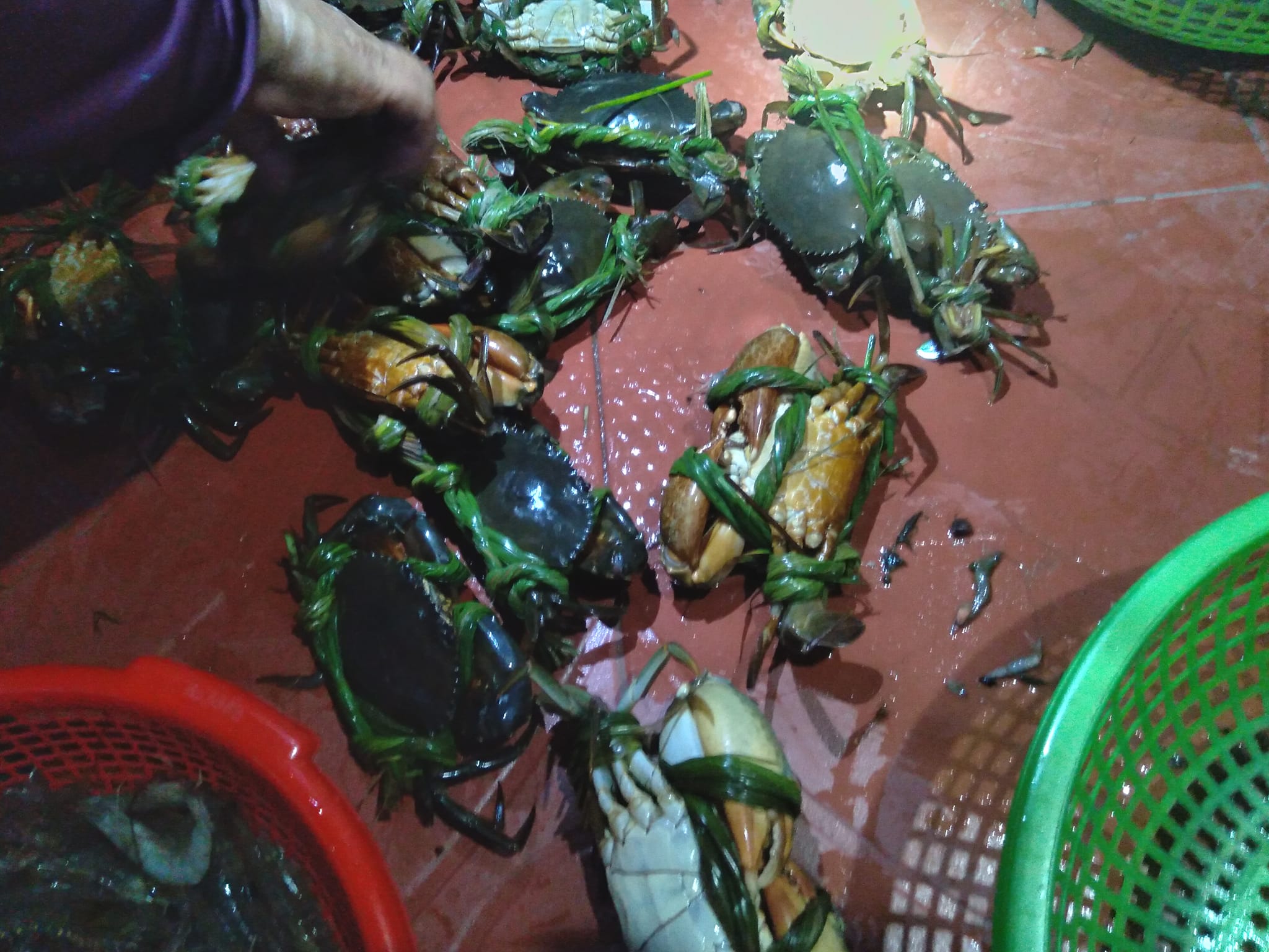 Thủy Hải Sản Trường Giang | Da Nang