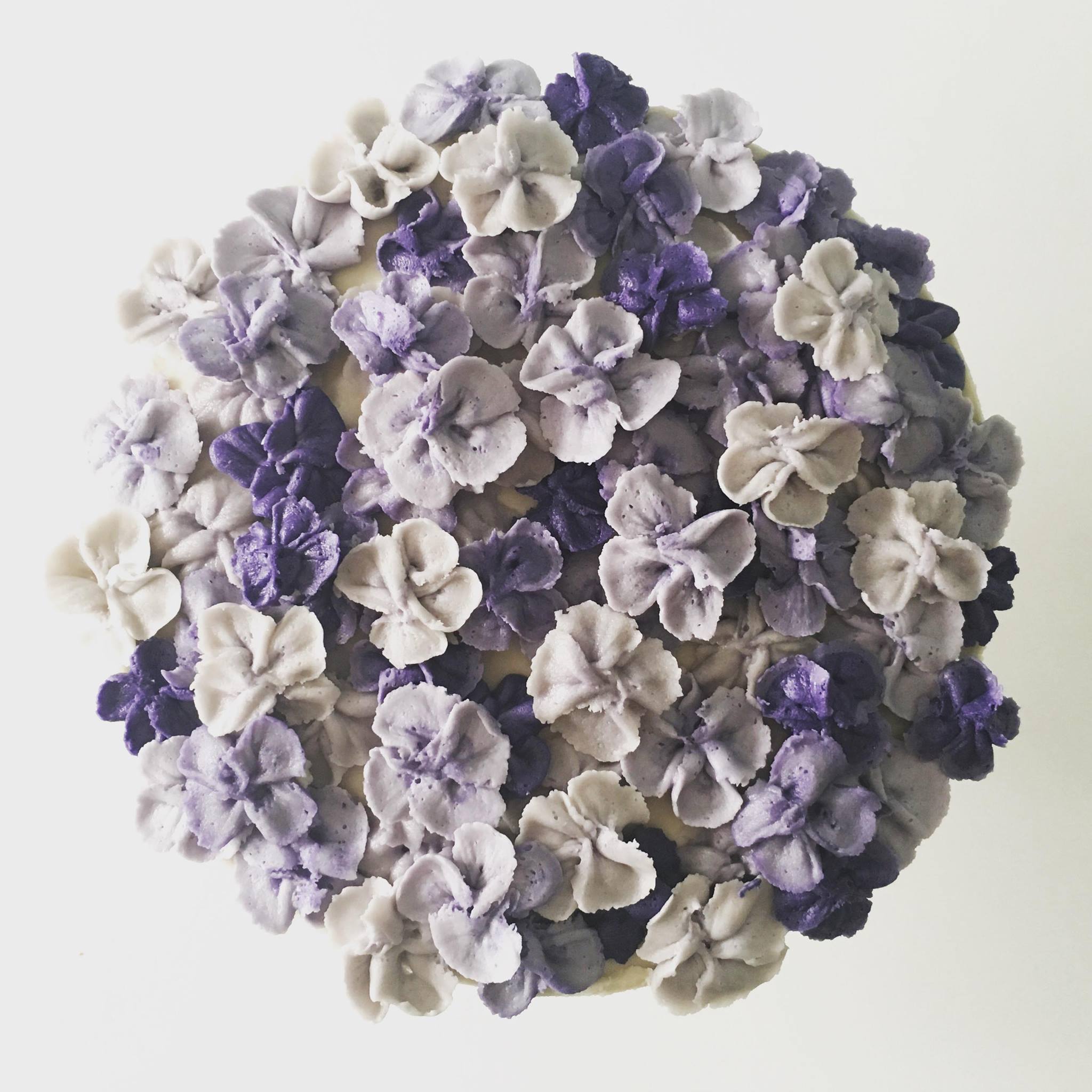 Fluffy Ruffs | Stourbridge