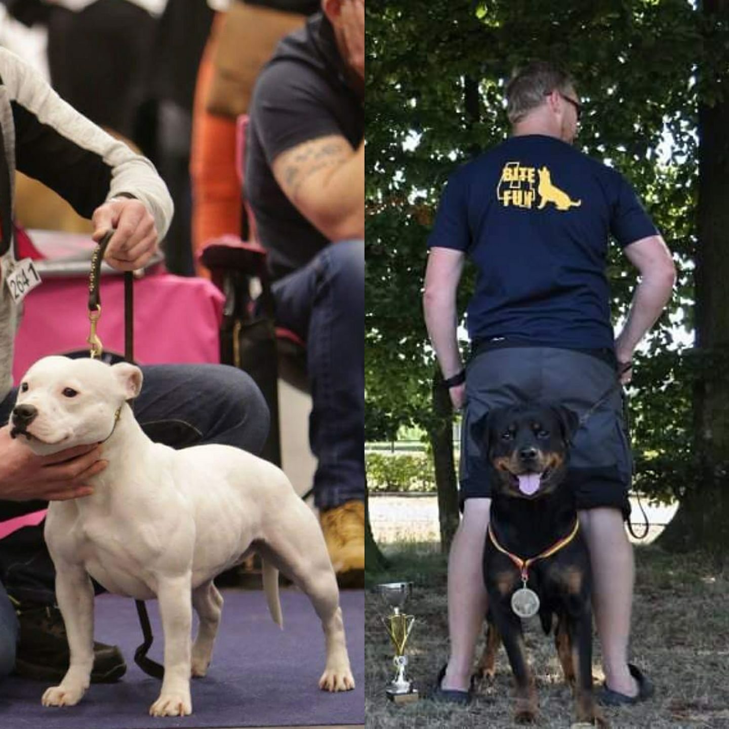 Team Extreme Rottweiler added a... - Team Extreme Rottweiler
