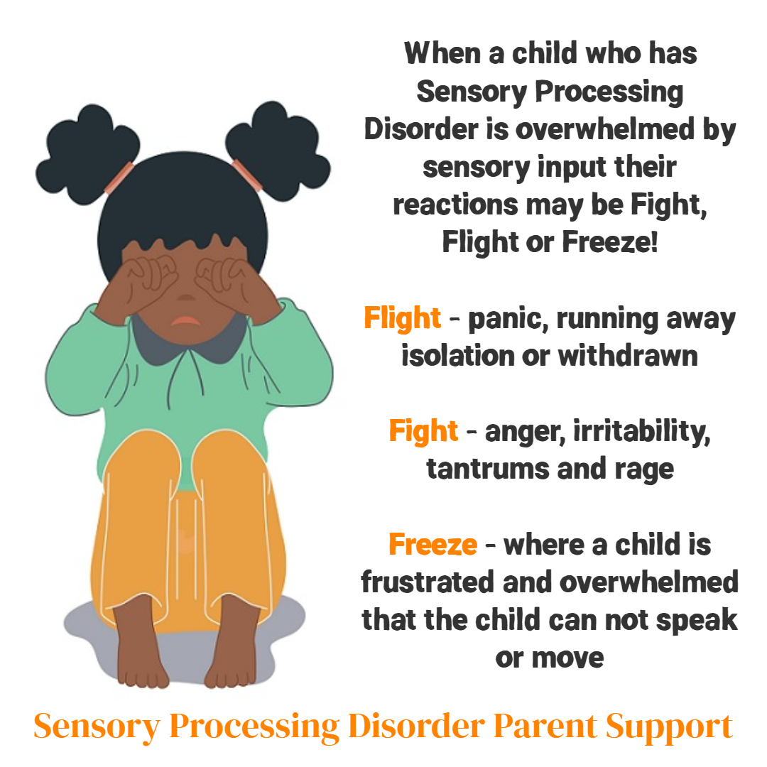 When a child who has Sensory Processing Disorder is overwhelmed by ...
