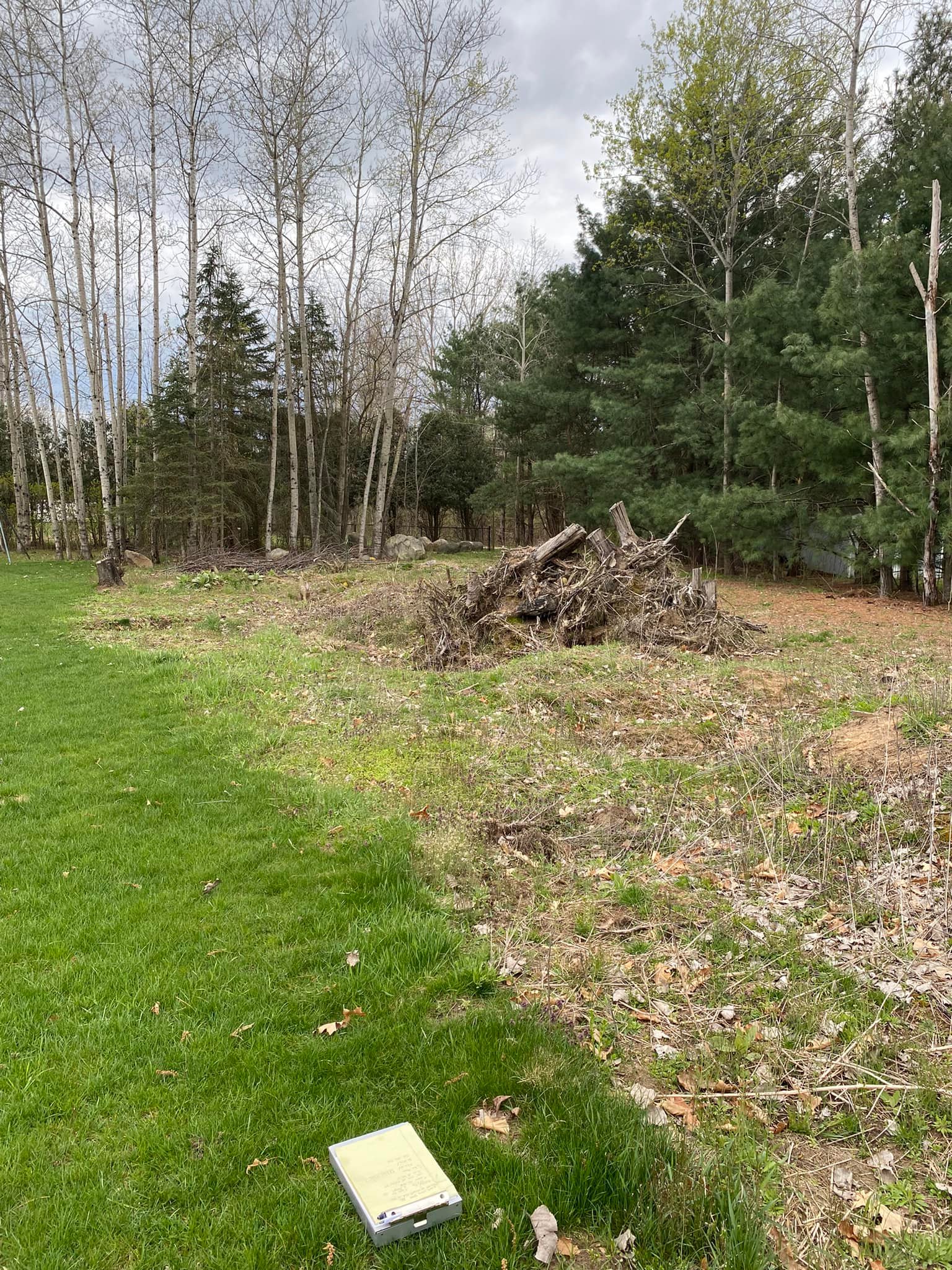 Rogue River Tree Service