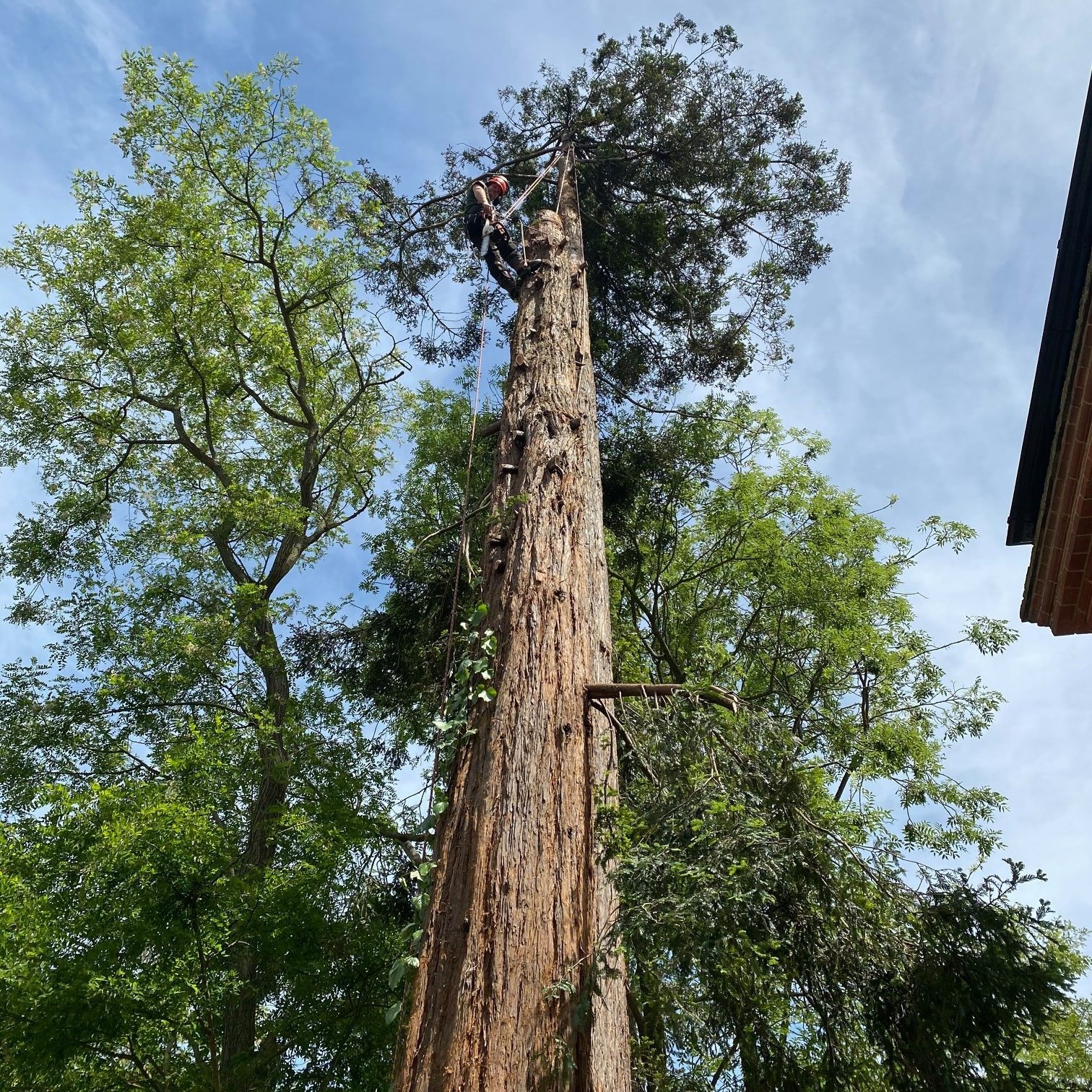 A bit of extra muscle on site today! 💪🚜 Having the digger on hand makes ...