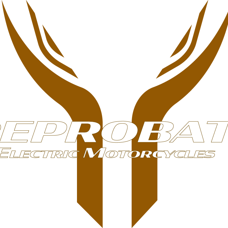 Introducing The... - Reprobates Electronic Motorcycles