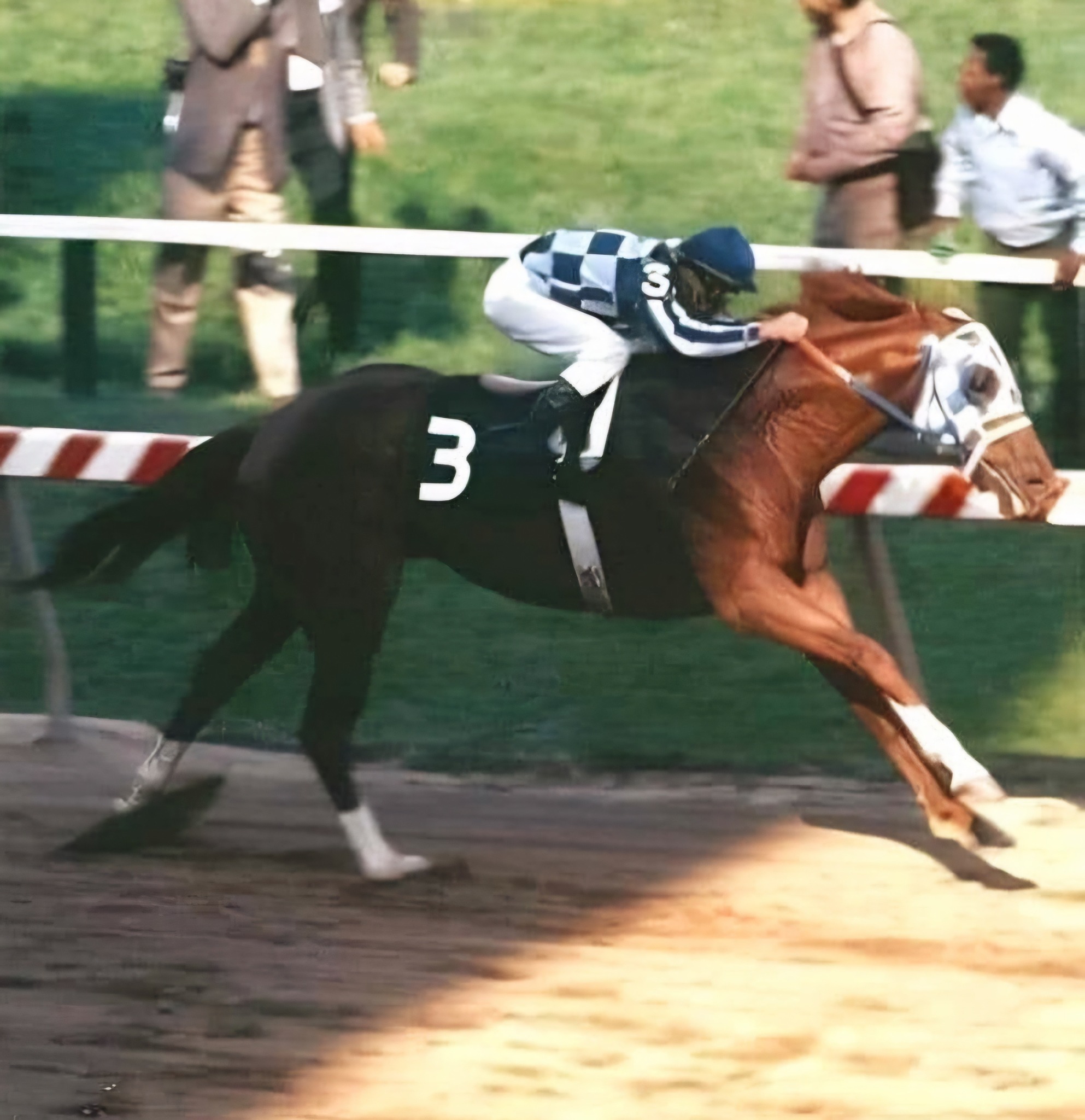 Secretariat's Preakness: '…And He Was Gone.' - Past The Wire