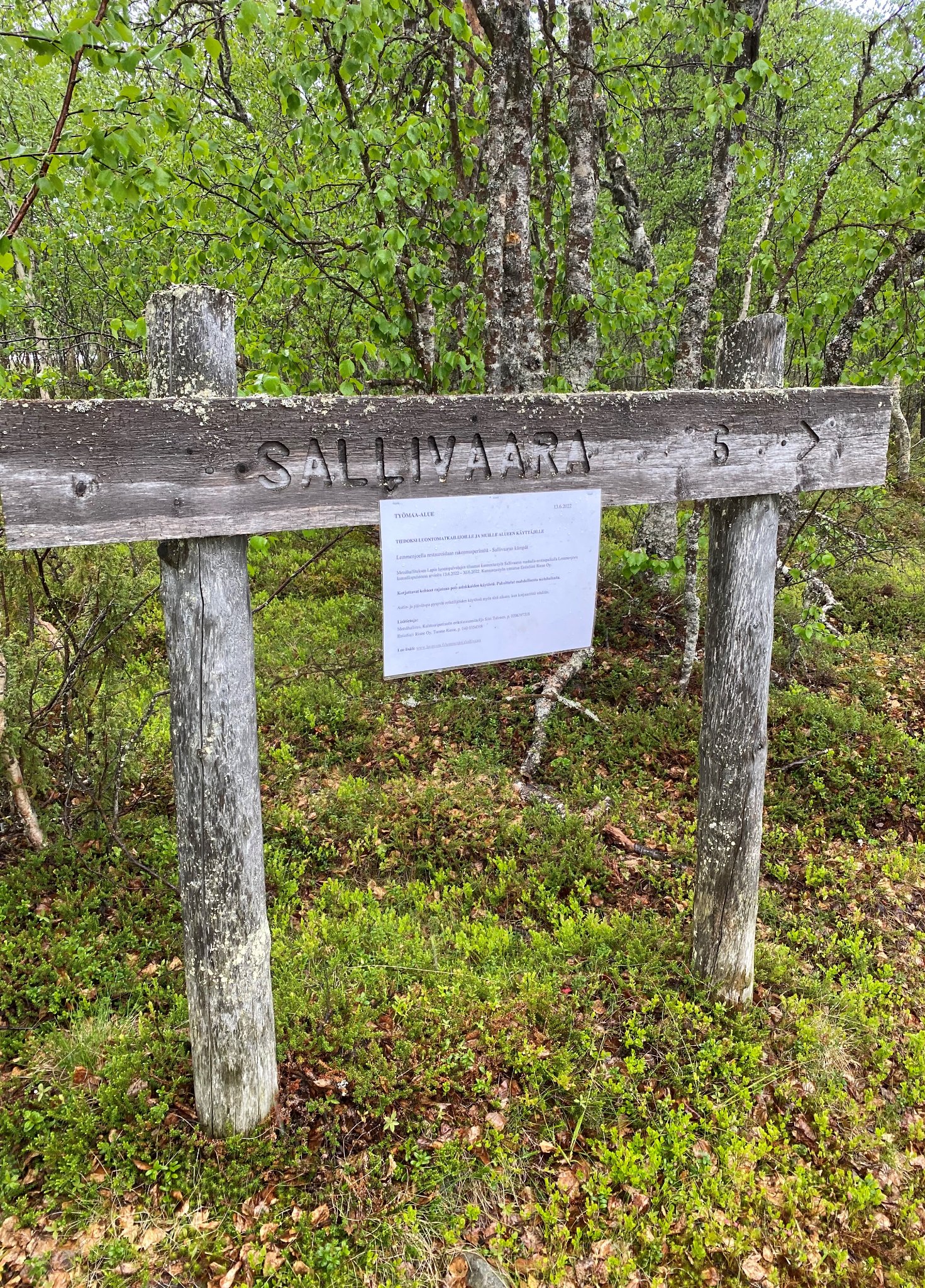 Sal... - Lemmenjoen kansallispuisto - Lemmenjoki National Park | Facebook