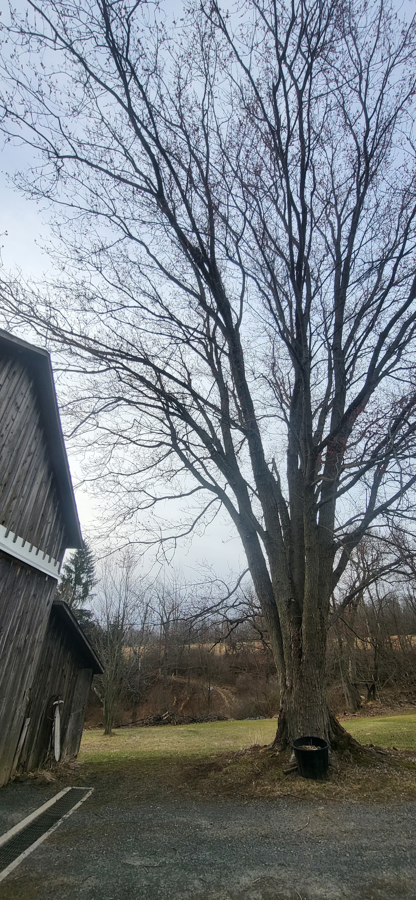 Fowler's Tree Service LLC.