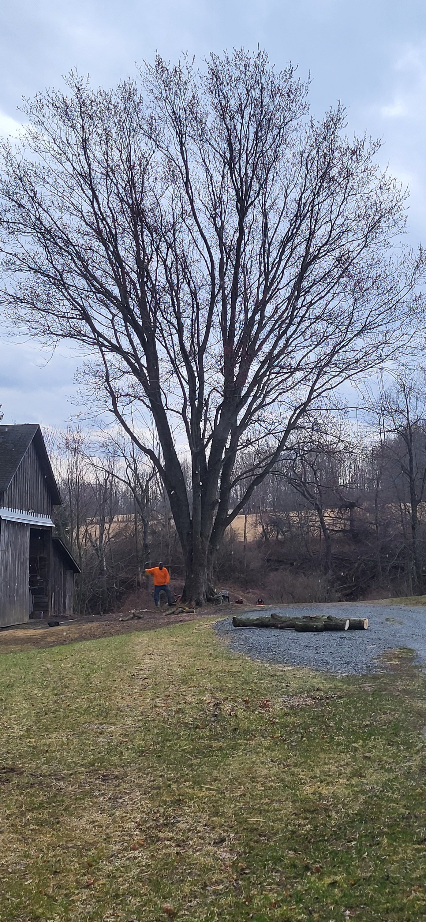 Fowler's Tree Service LLC.