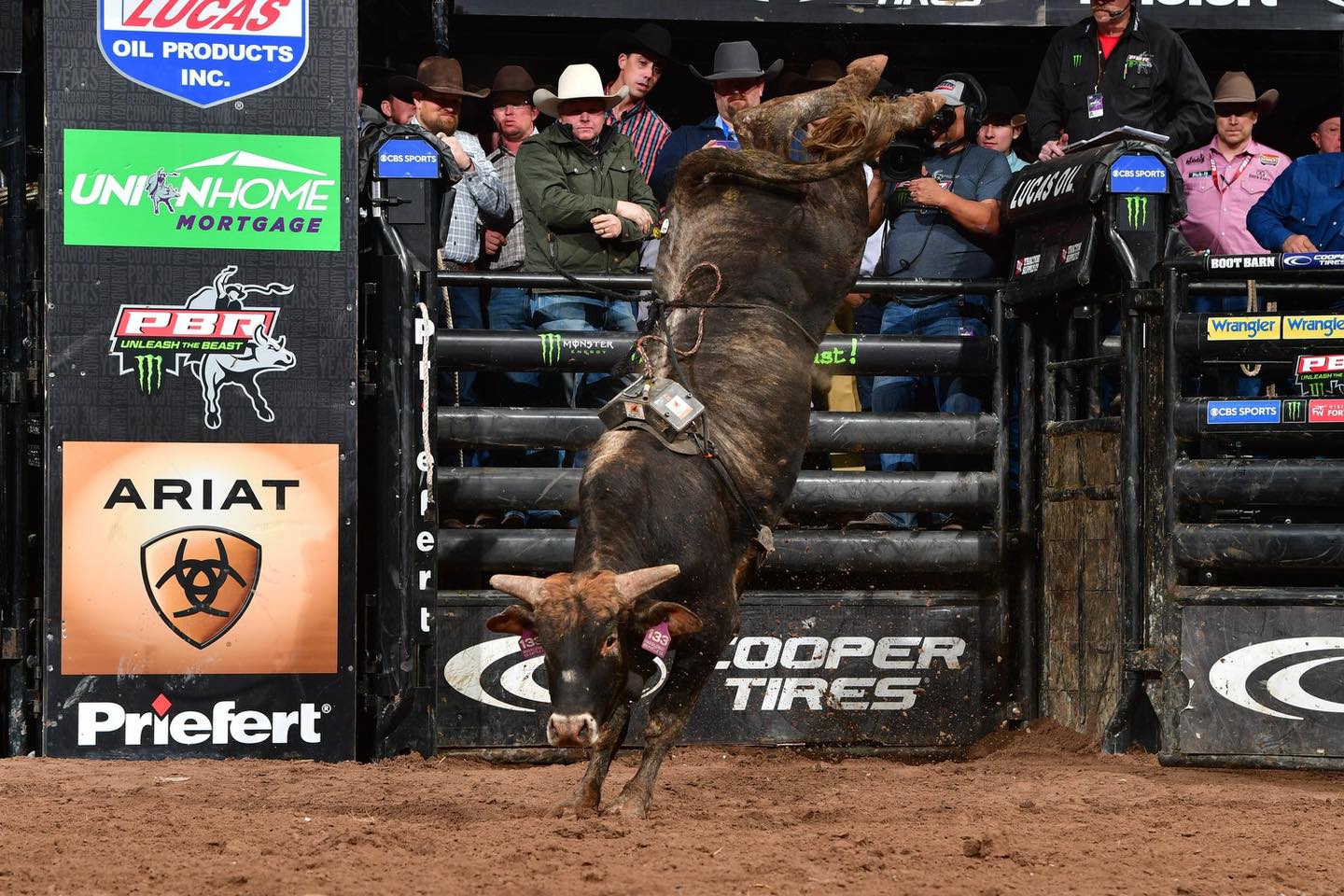 The Top 5 Futurity Bonus... - American Bucking Bull Inc. | Facebook