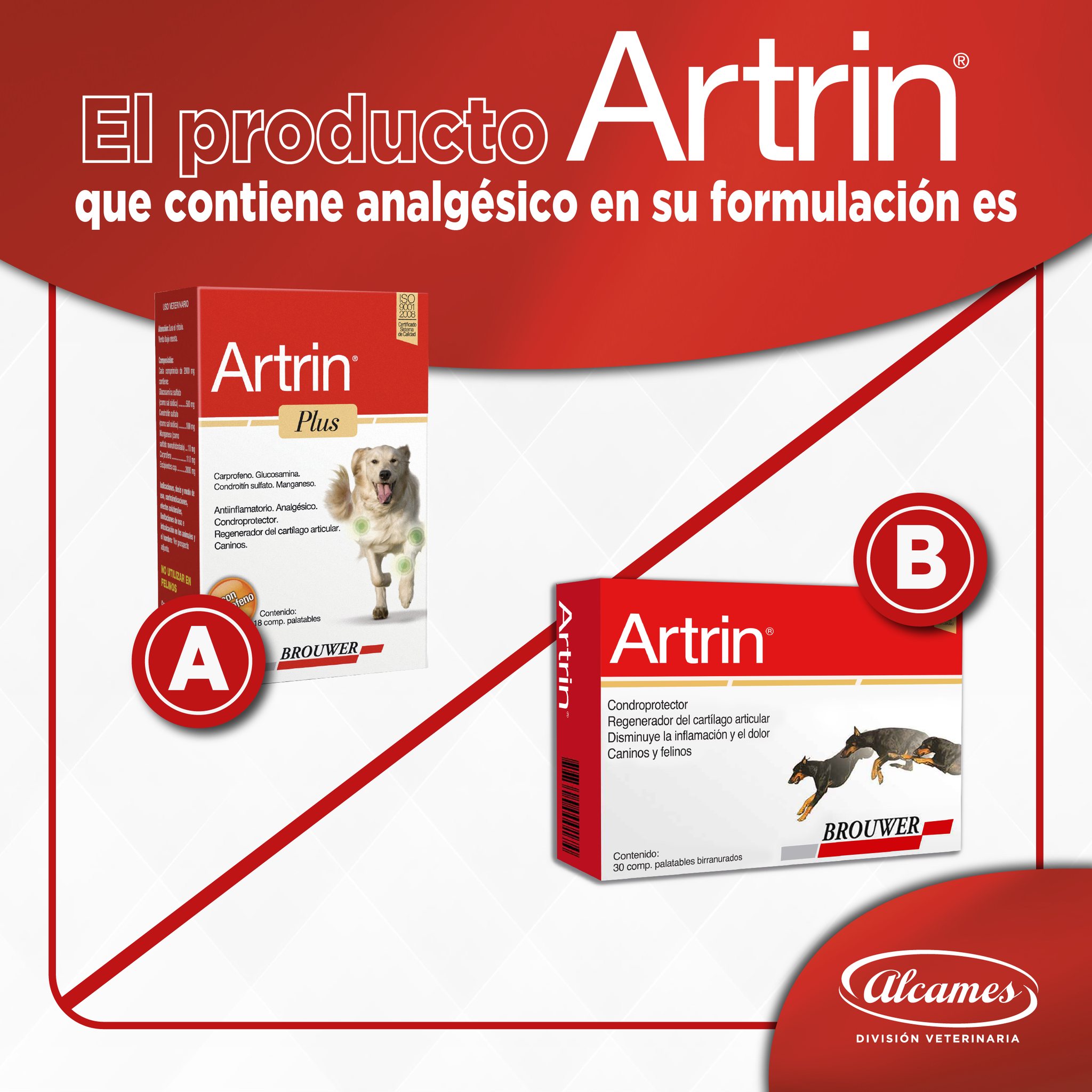 Los 2 productos Artrin®... - Alcames División Veterinaria