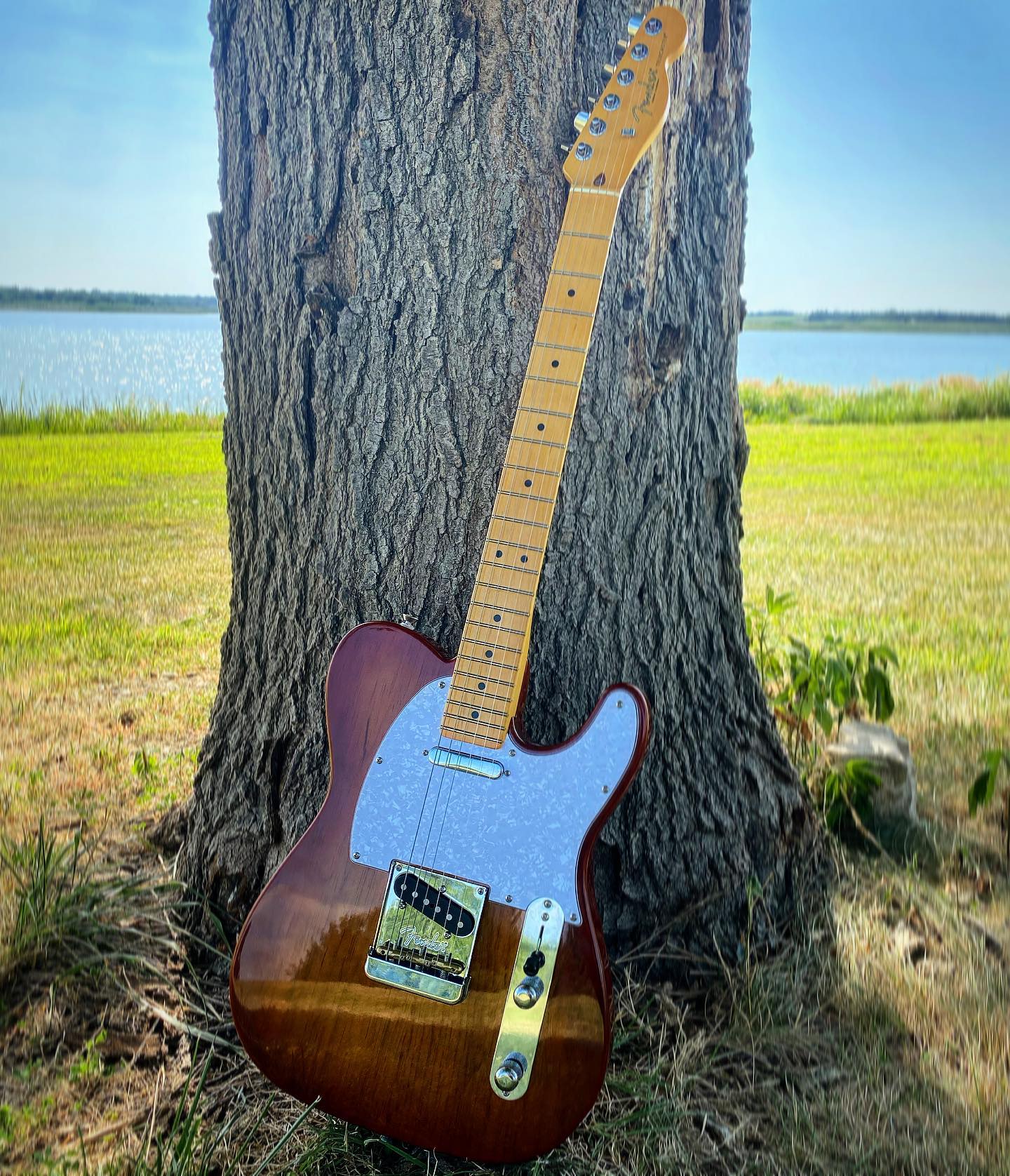 2006 highway one daphne blue tele review