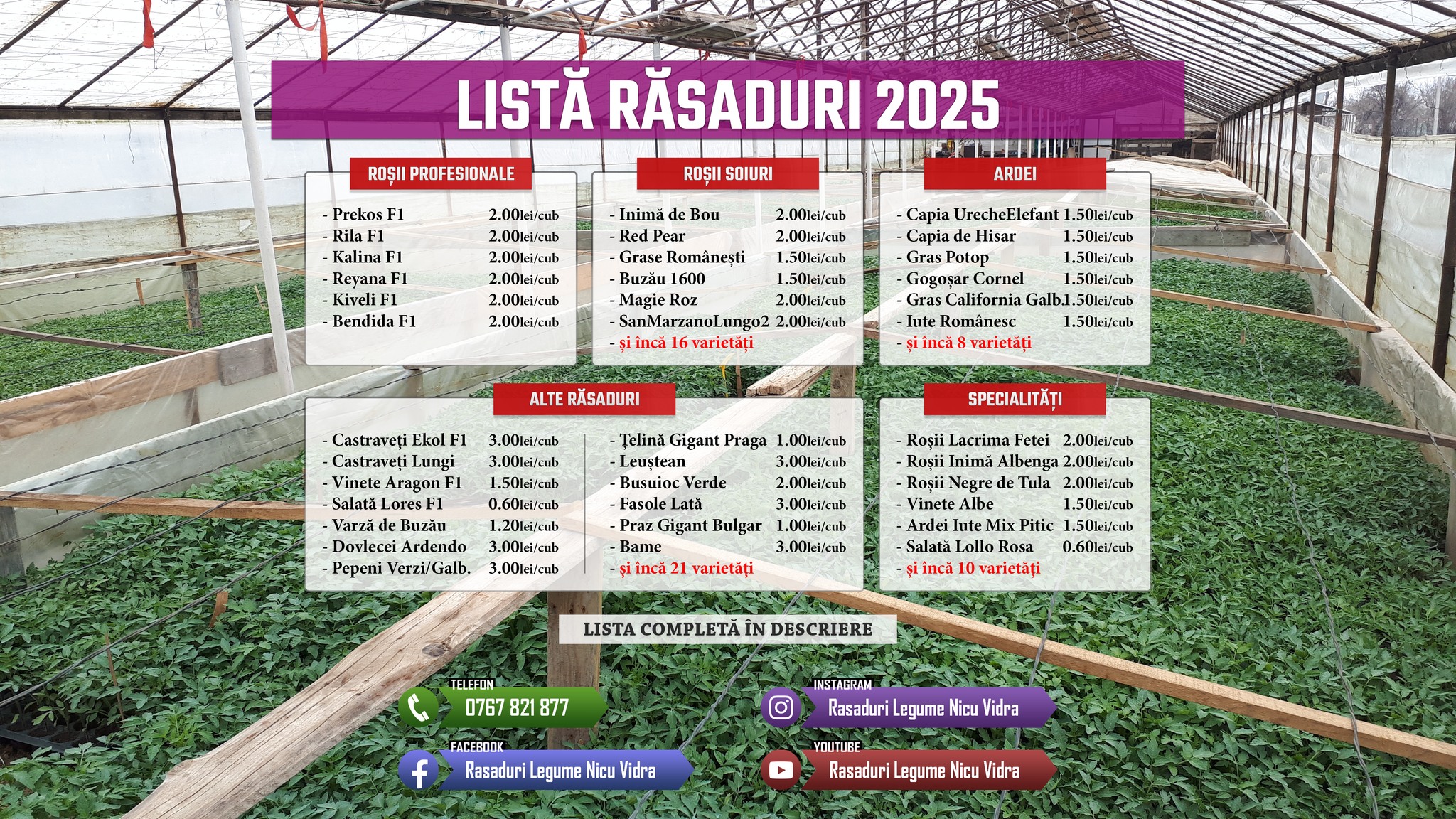 Rasaduri de Legume de la Producatori | Bazar Anunturi Piata Targ ...