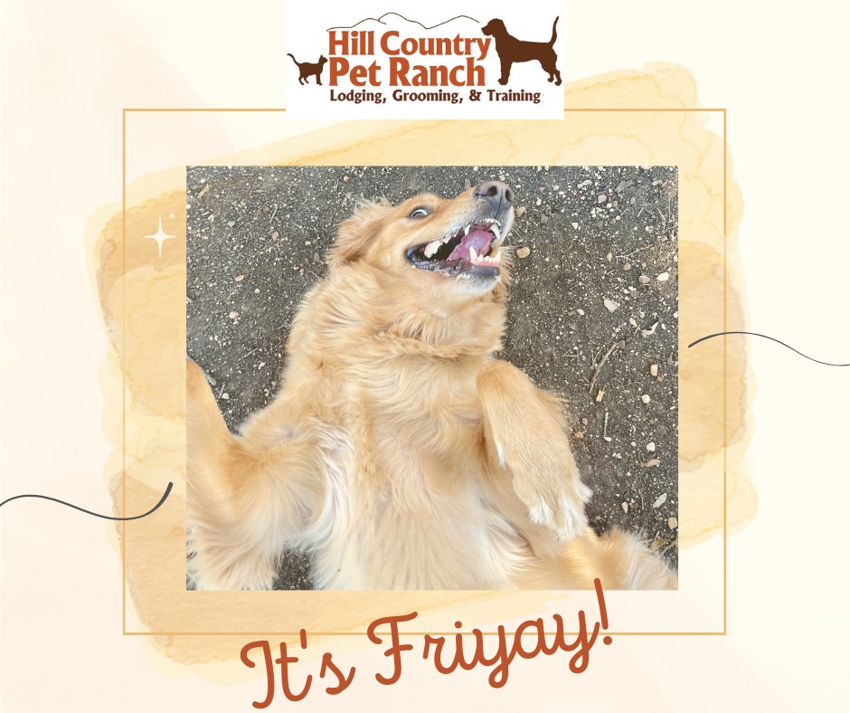 Happy Friday! Here's some... - Hill Country Pet Ranch
