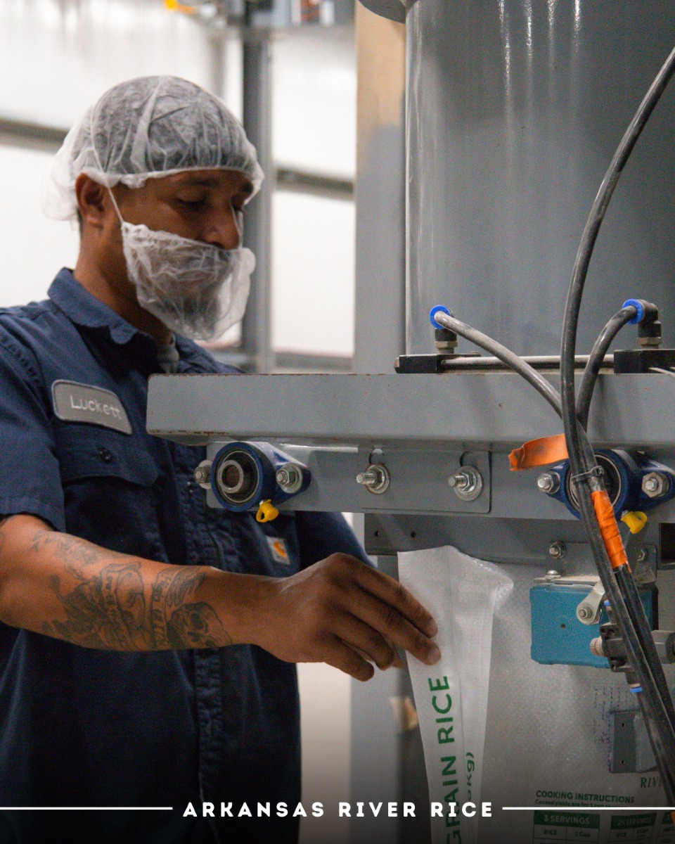 Arkansas River Rice | Pine Bluff AR