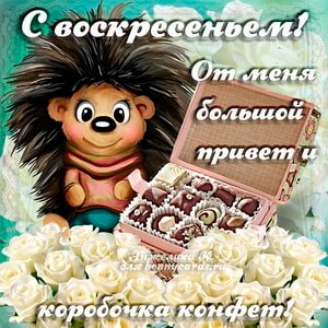 Работа в воскресенье картинки. Воскресенье картинки прикольные. Девчонки хорошего воскресенья. Воскресенье картинка для детей. Рабочее воскресенье картинки