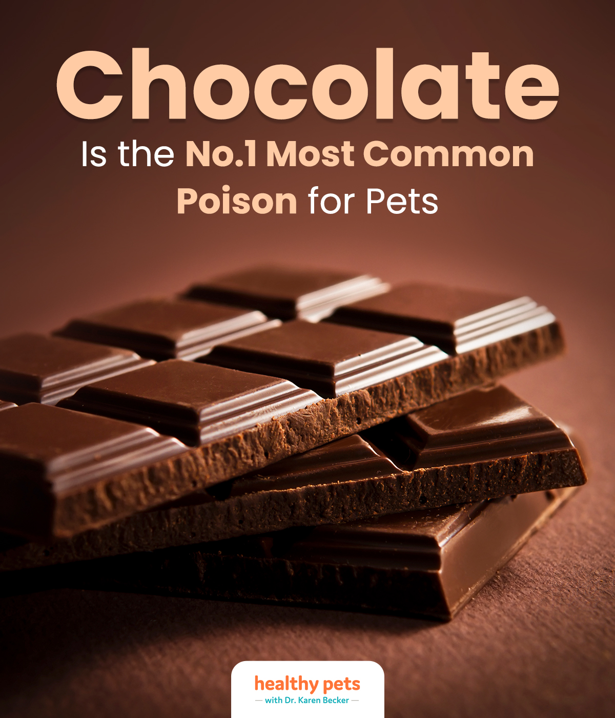 Illustration of Limiting Chocolate Intake In Pets