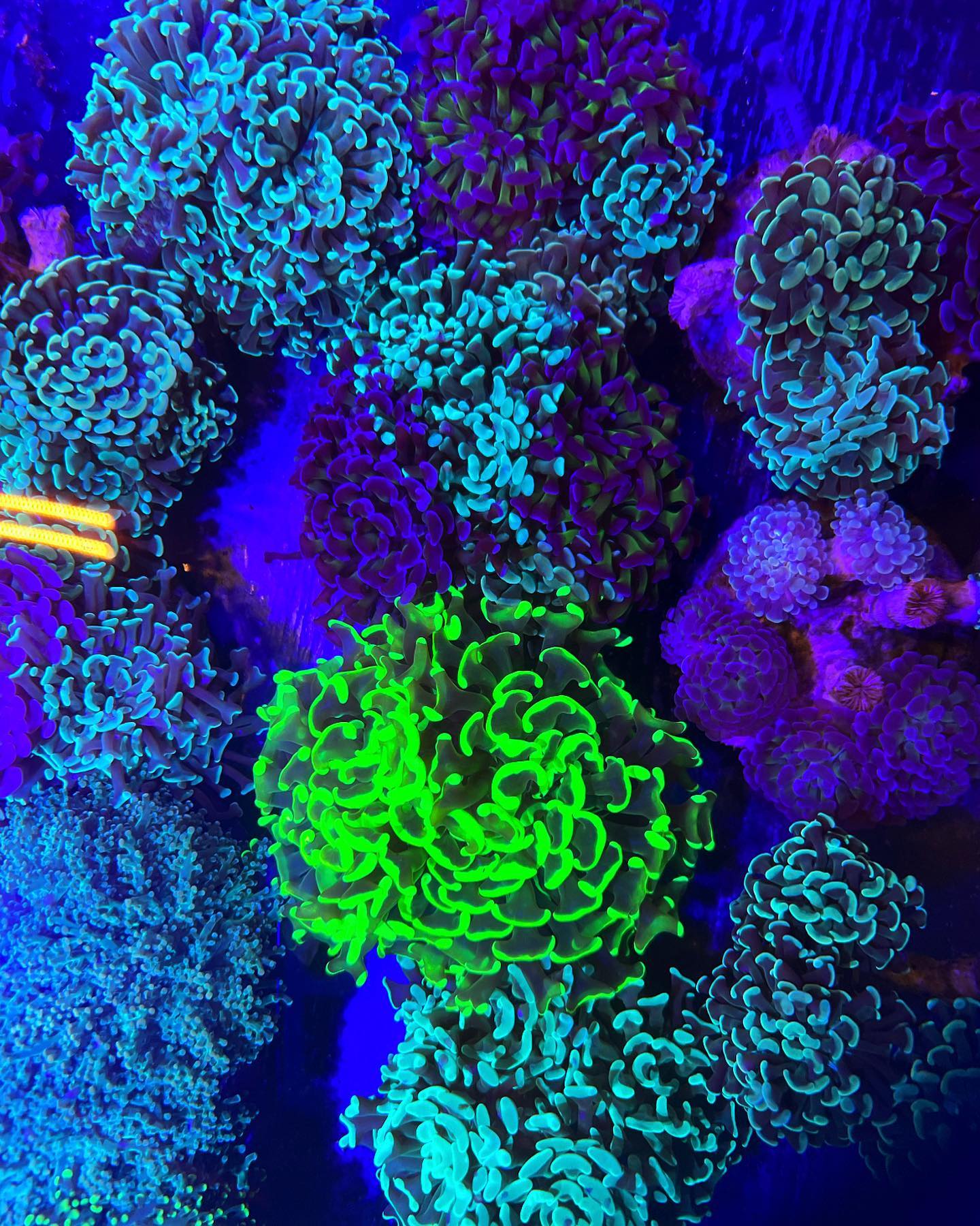frag.farm - ⚒️ Everyone loves hammers ⚒️ LINK IN BIO‼️...