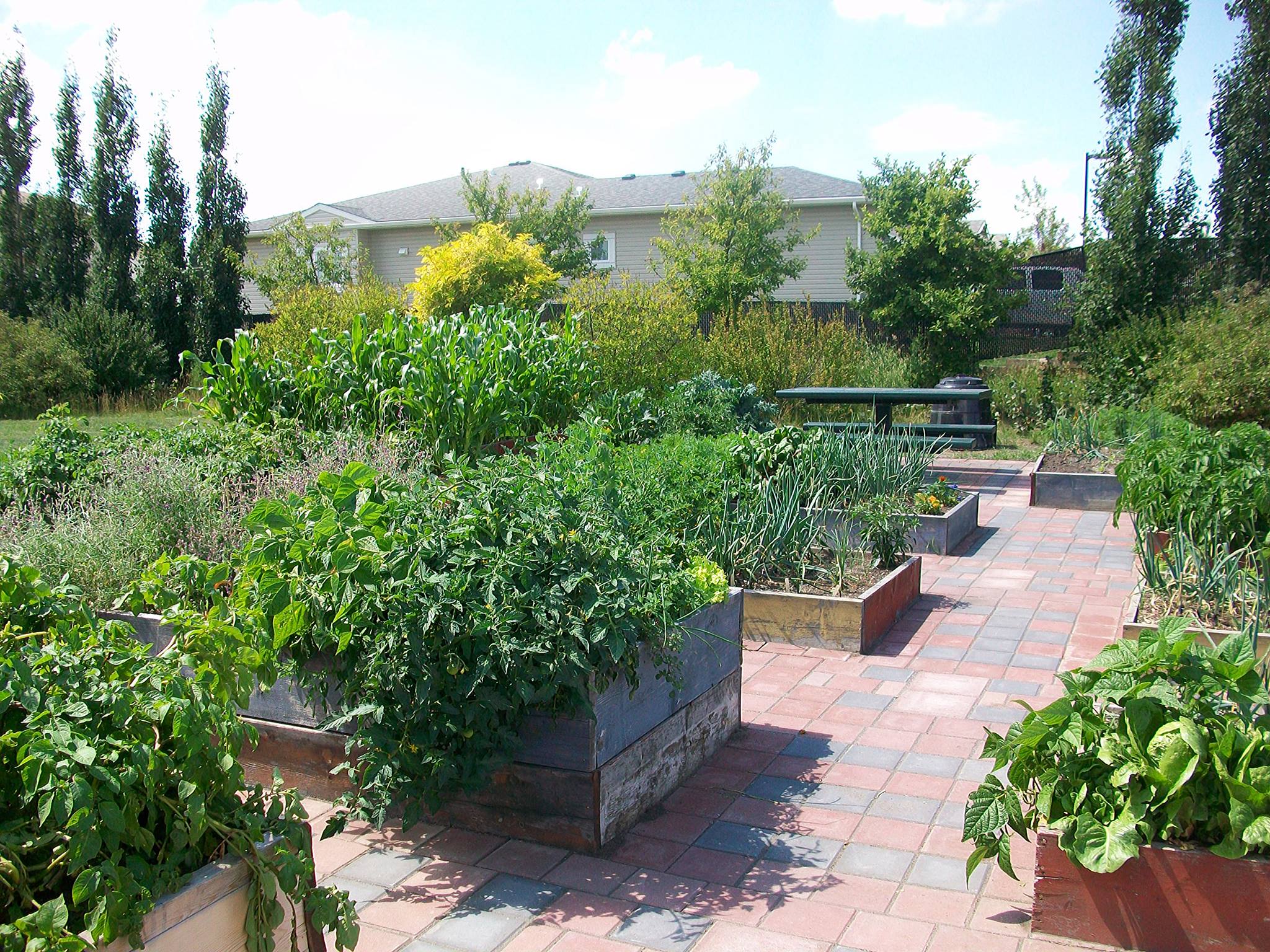 Strathmore Communities in Bloom - | Strathmore AB