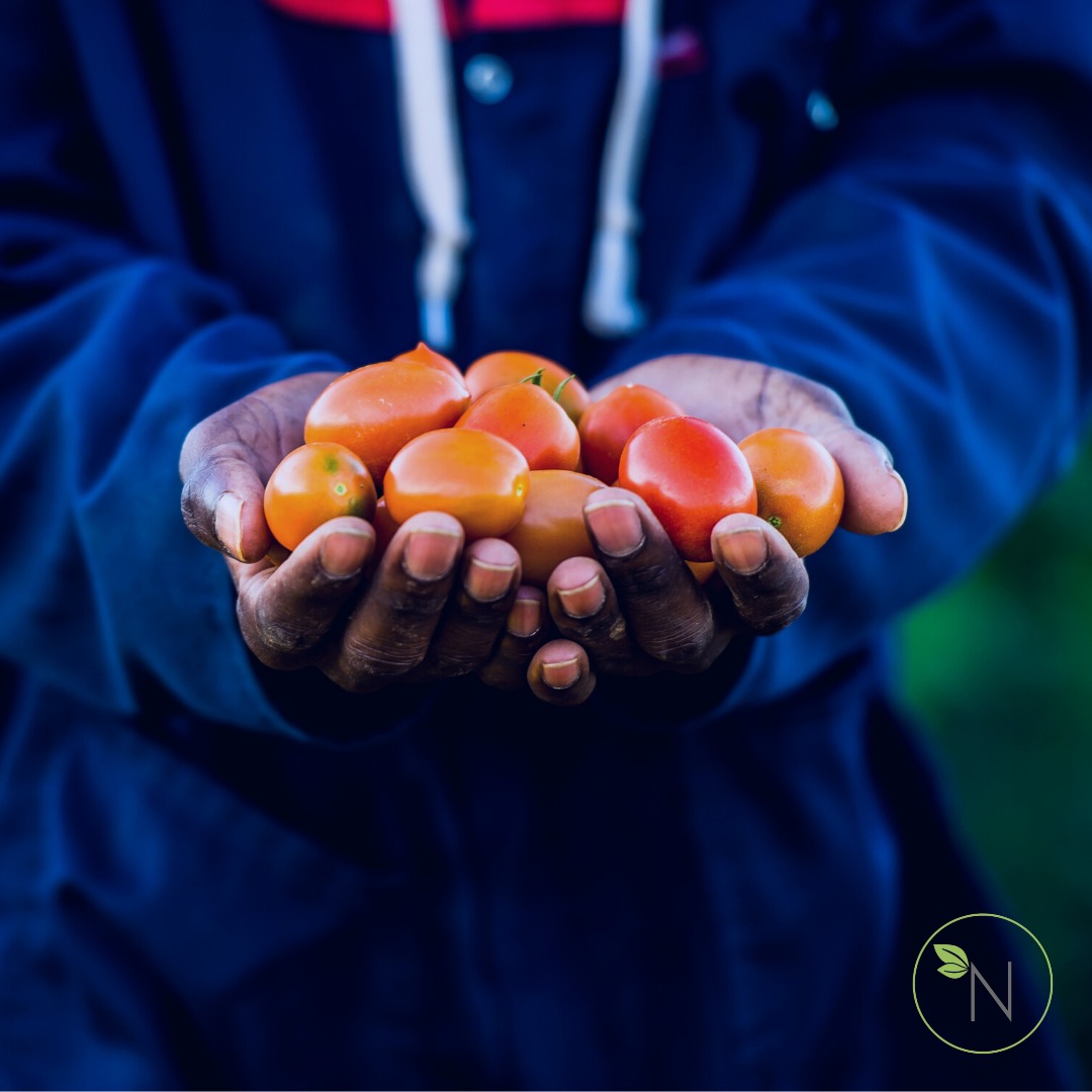 Naturesmart - Our Journey | Our Farmers Our produce is...