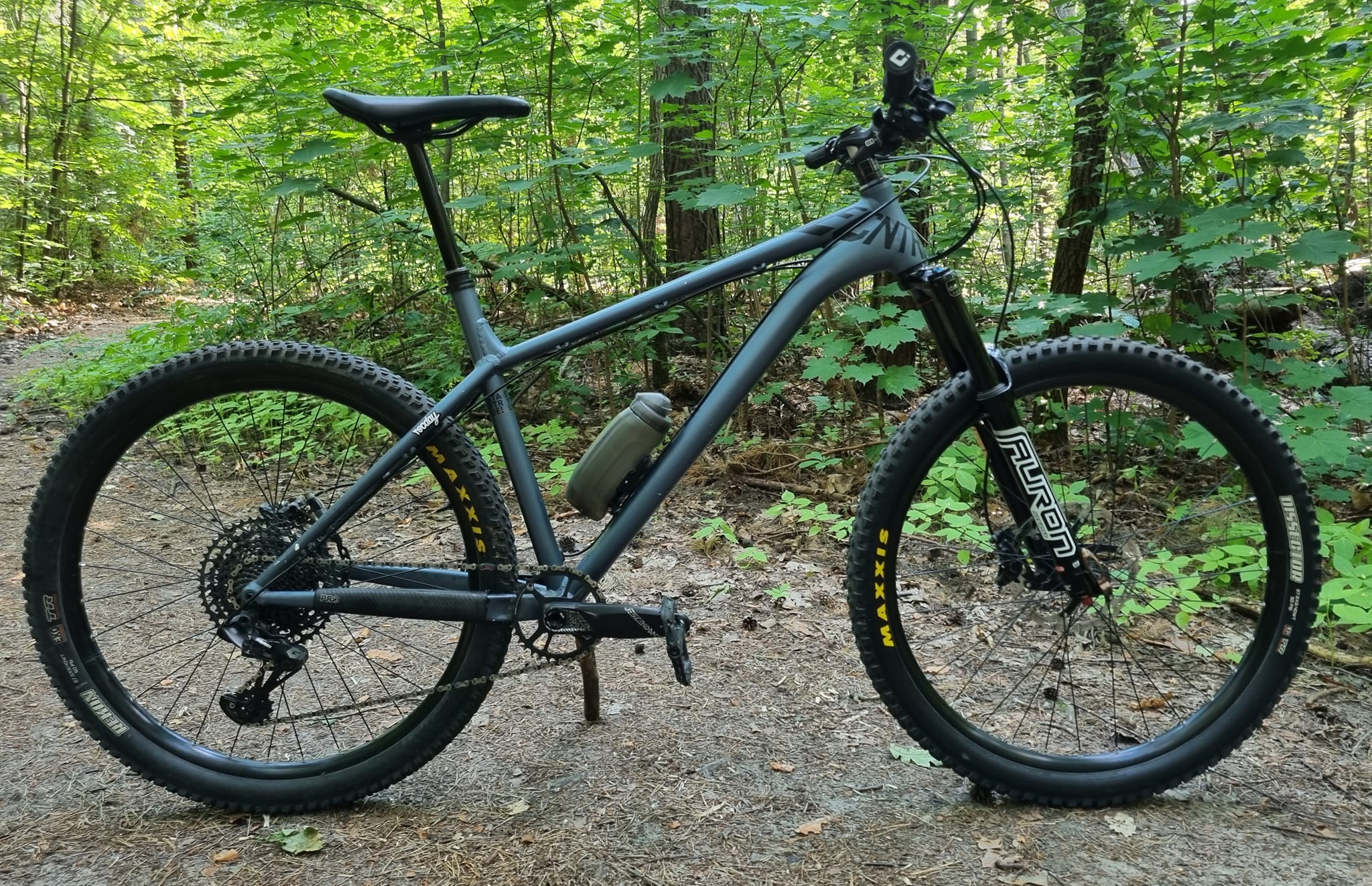 Custom NS Eccentric EVO Alu 27.5 2020 bike