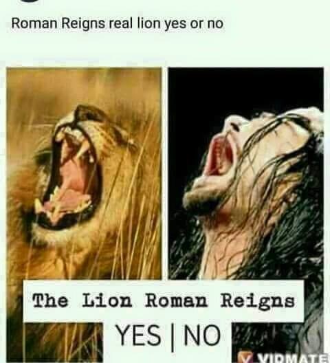 WLive - Roman reigns is like a loin. 1.........Yes.... | Facebook
