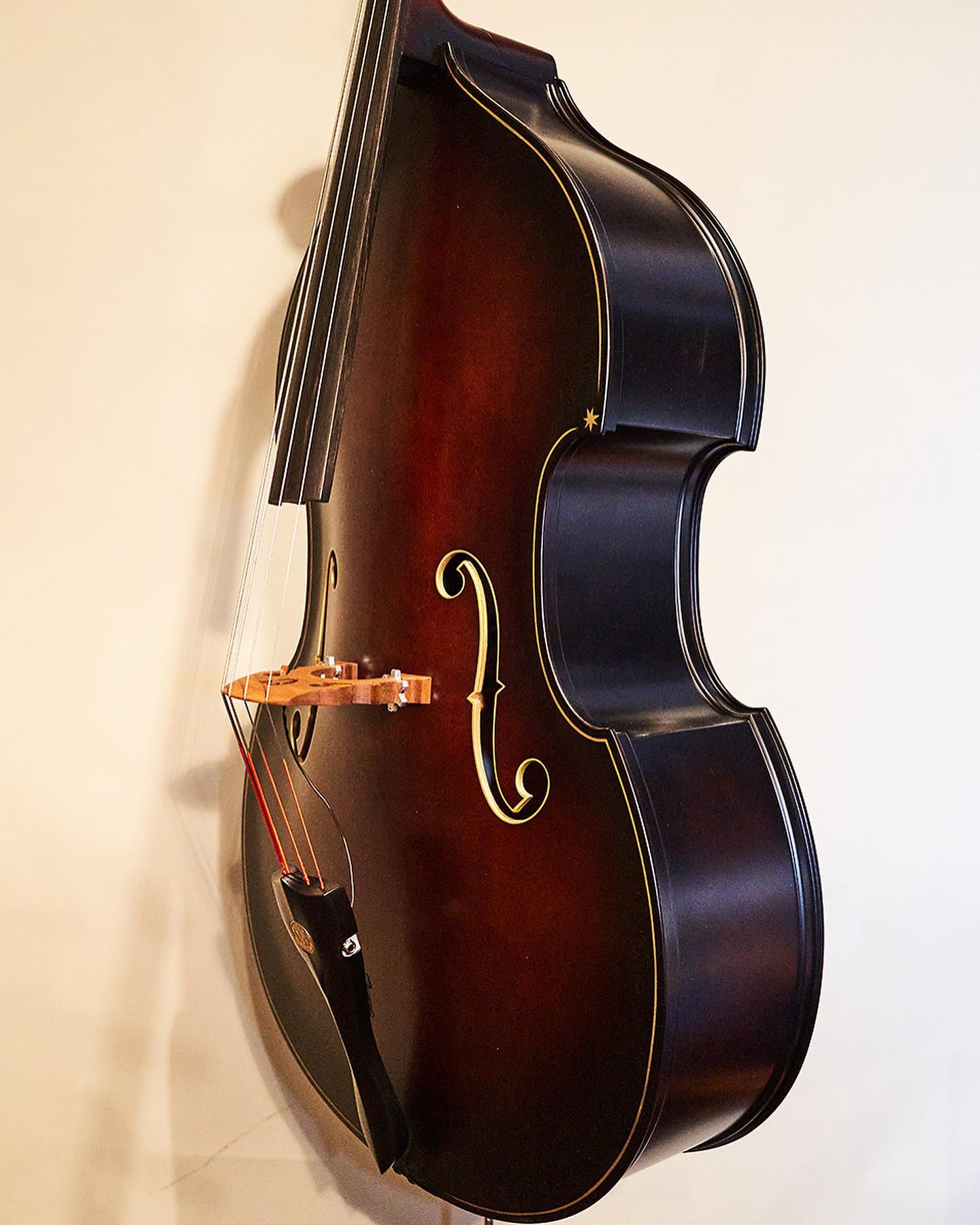 Rare Blastcult USA Made Bass for Sale with Upgraded Channel Blaster 2