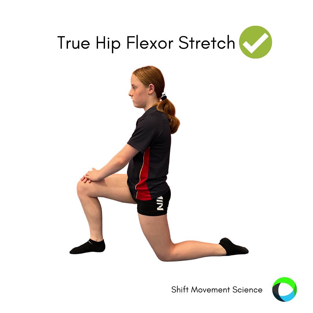 Are you... - SHIFT Movement Science and Gymnastics Education | Facebook