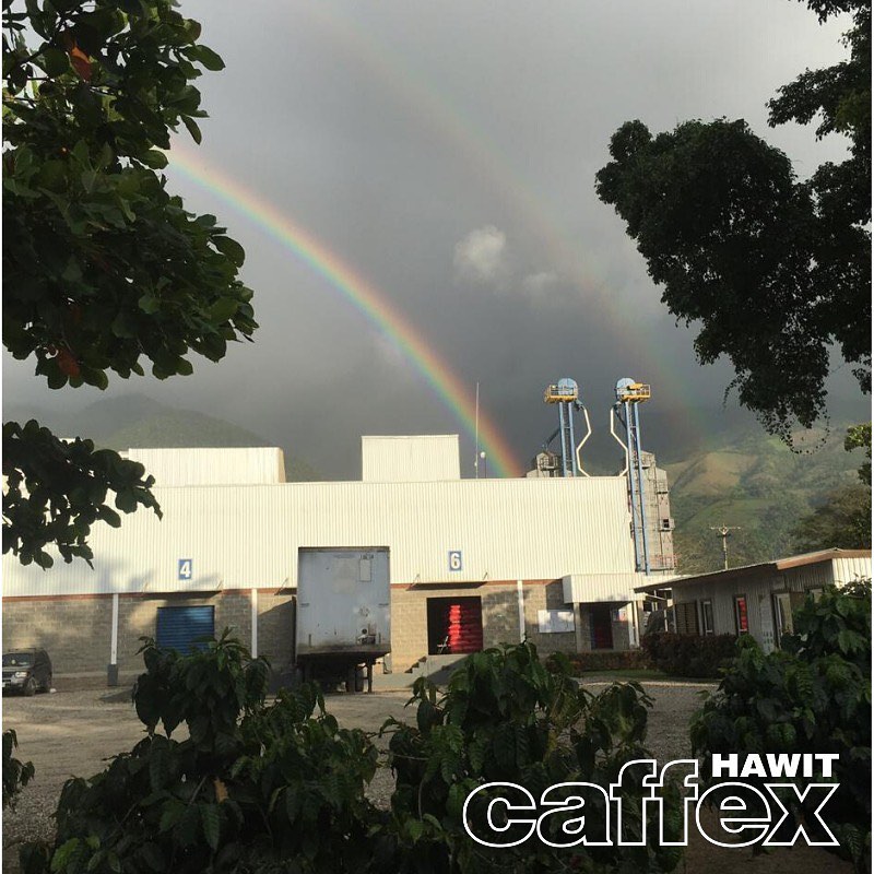 Hawit Caffex