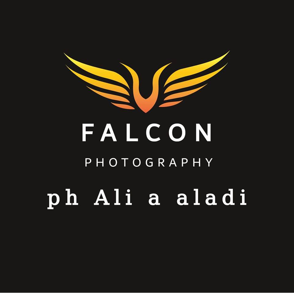 Falcon photography added a new photo. - Falcon photography
