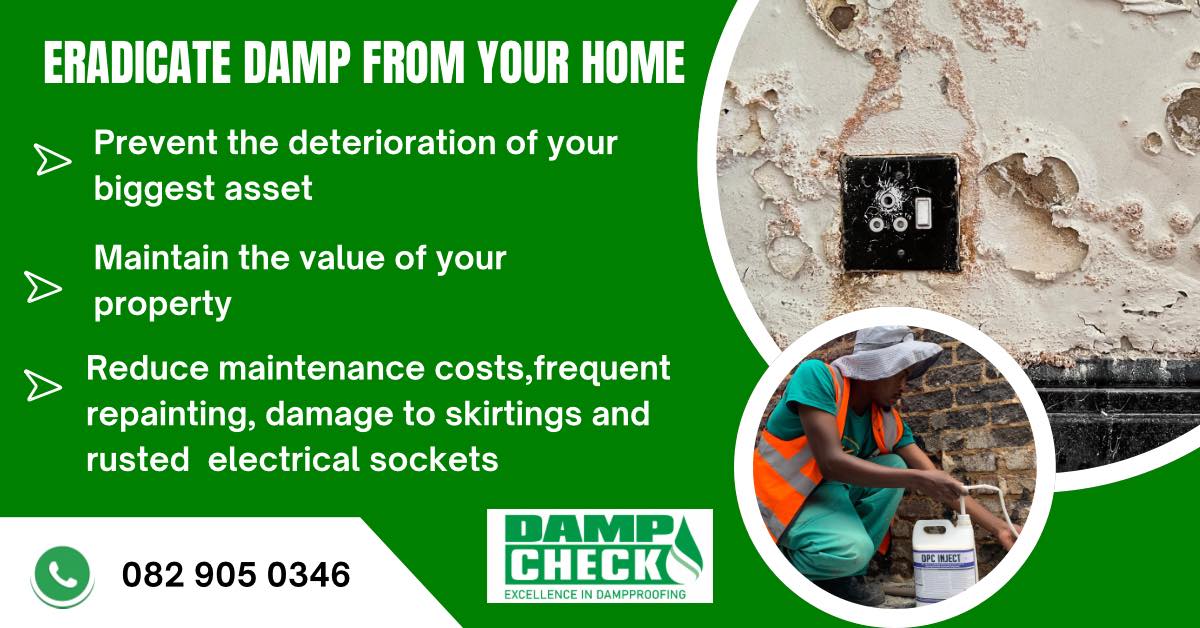 Damp Check