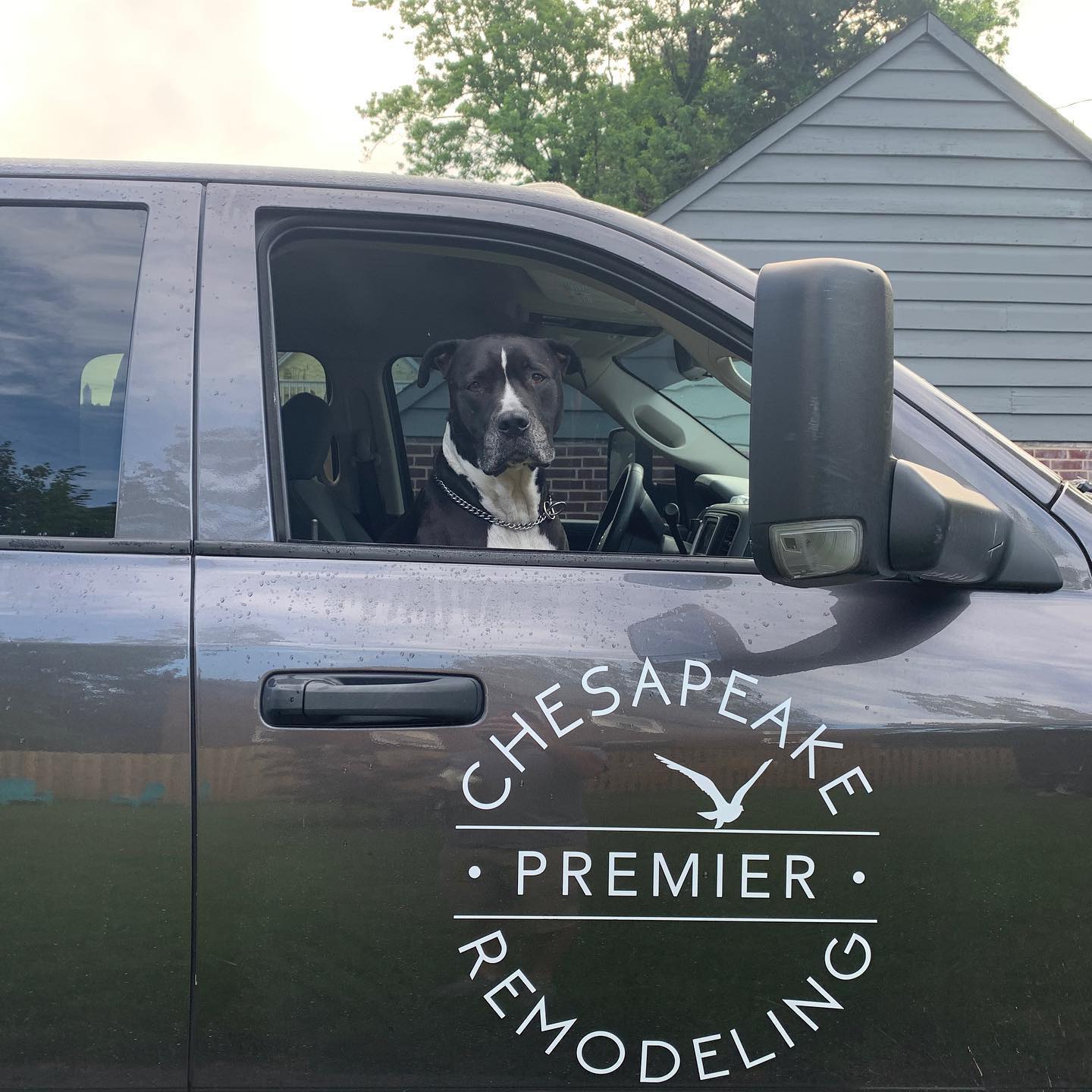 Man’s best helper!... - Chesapeake Premier Remodeling, Inc | Facebook