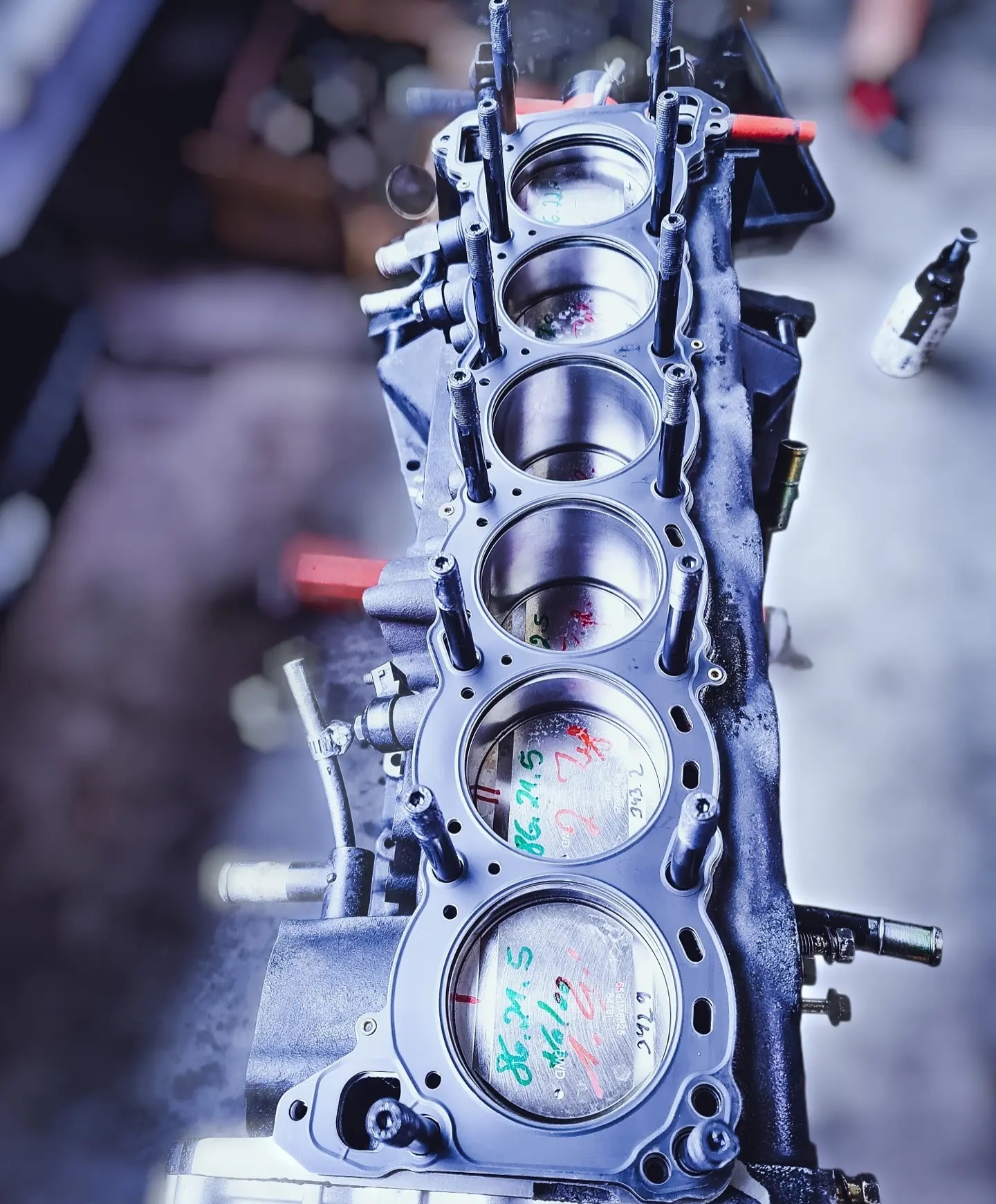 JDM Heart Performance | Schifferstadt
