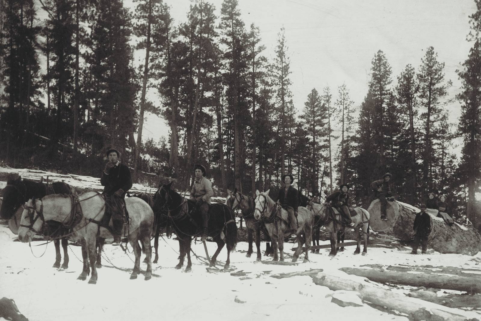 Throwback... - U.S. Forest Service - Colville National Forest | Facebook