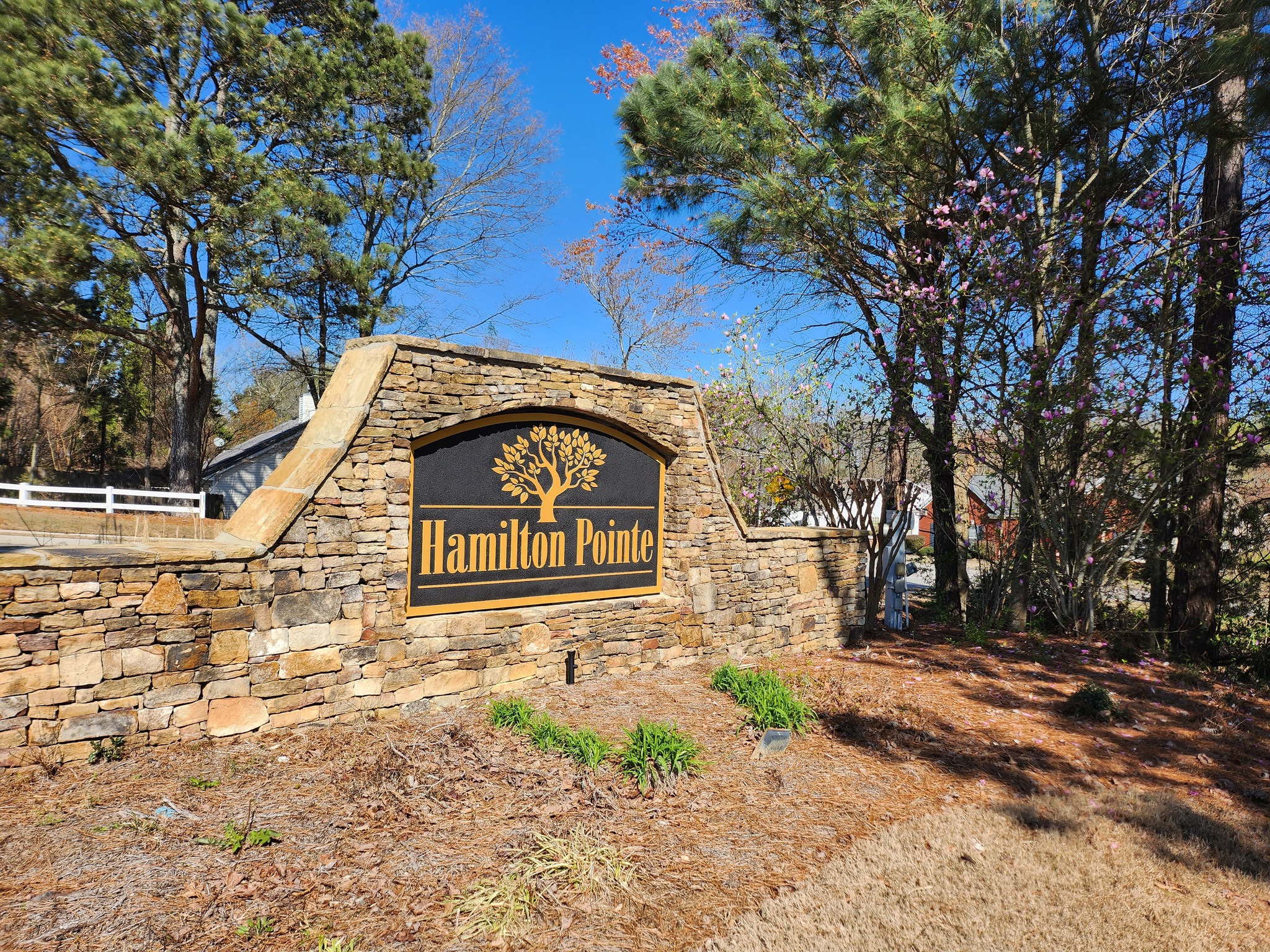 Hamilton Pointe HOA