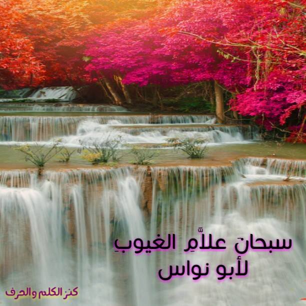 كنز - #سبحانَ_علاَّمِ_الغيوبِ #لأبو_نواس #العصر_العباسي كنز الكلم ...