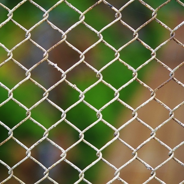 the surprising reason for old fences #history #medieval #facts # ...