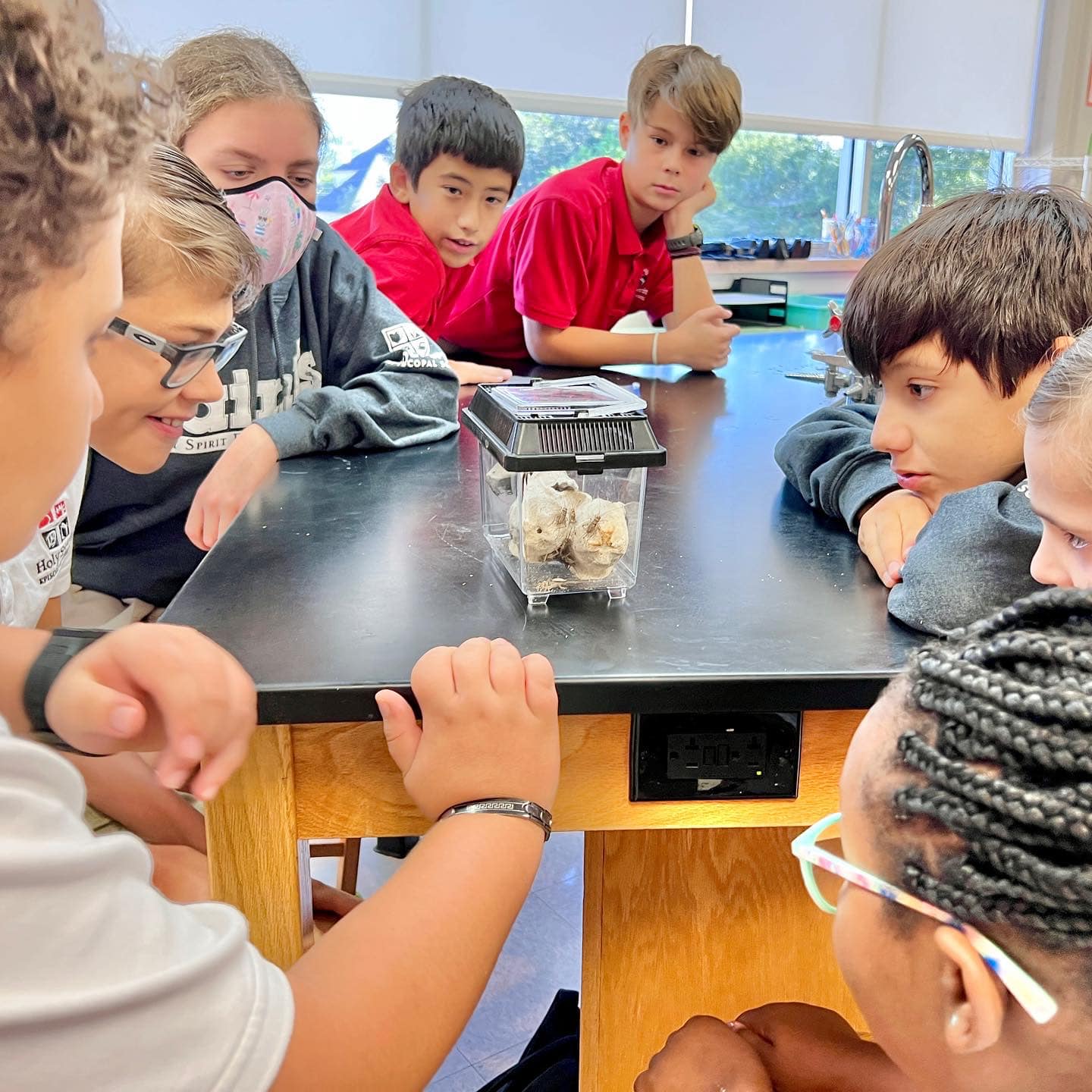 Our 5th and 6th graders had... - Holy Spirit Episcopal School | Facebook